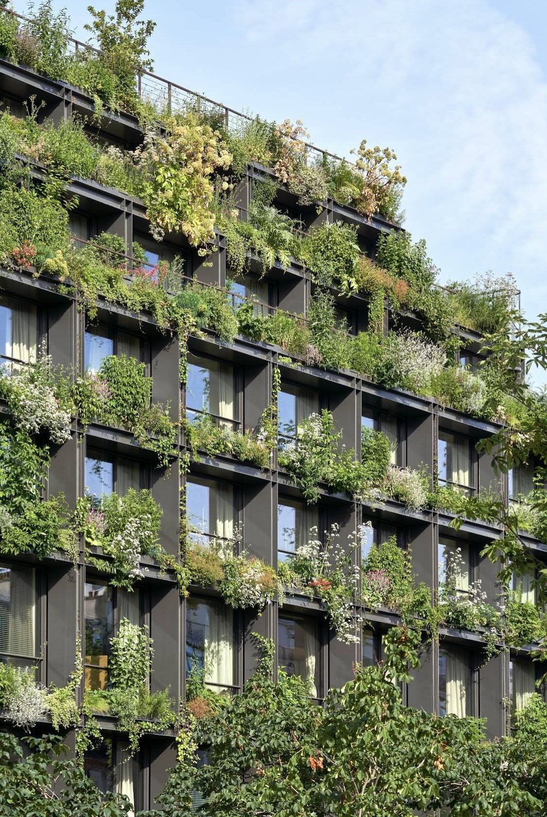 Sustainability & Clean Energy