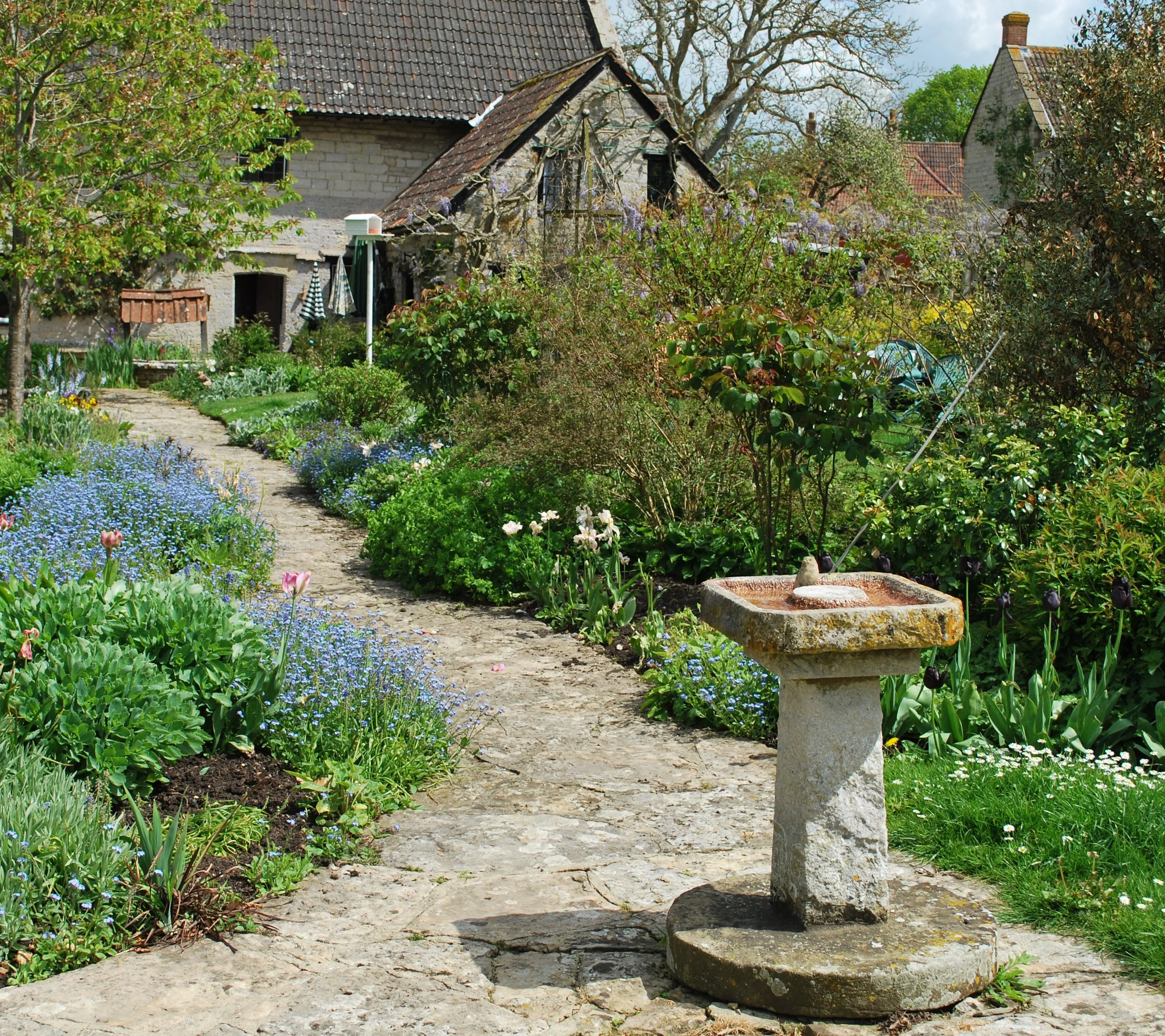 garden path.jpg
