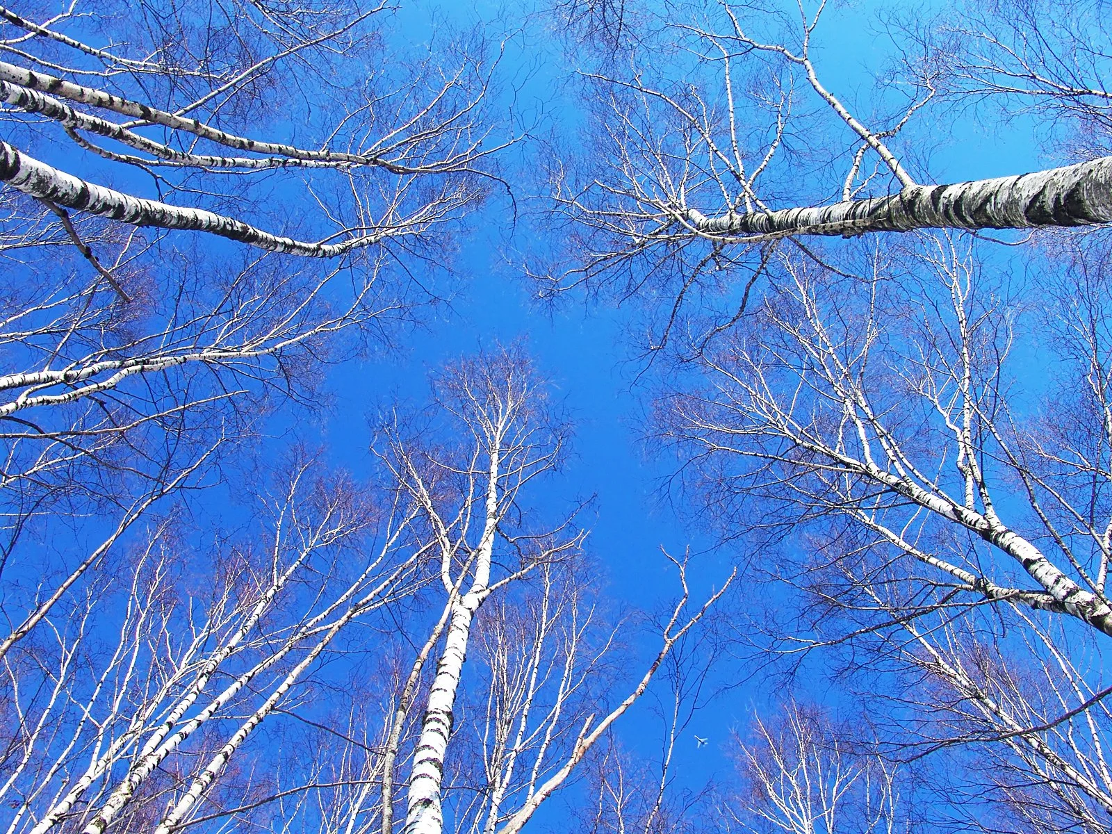 Weekend Family Constellations Retreat In Somerset