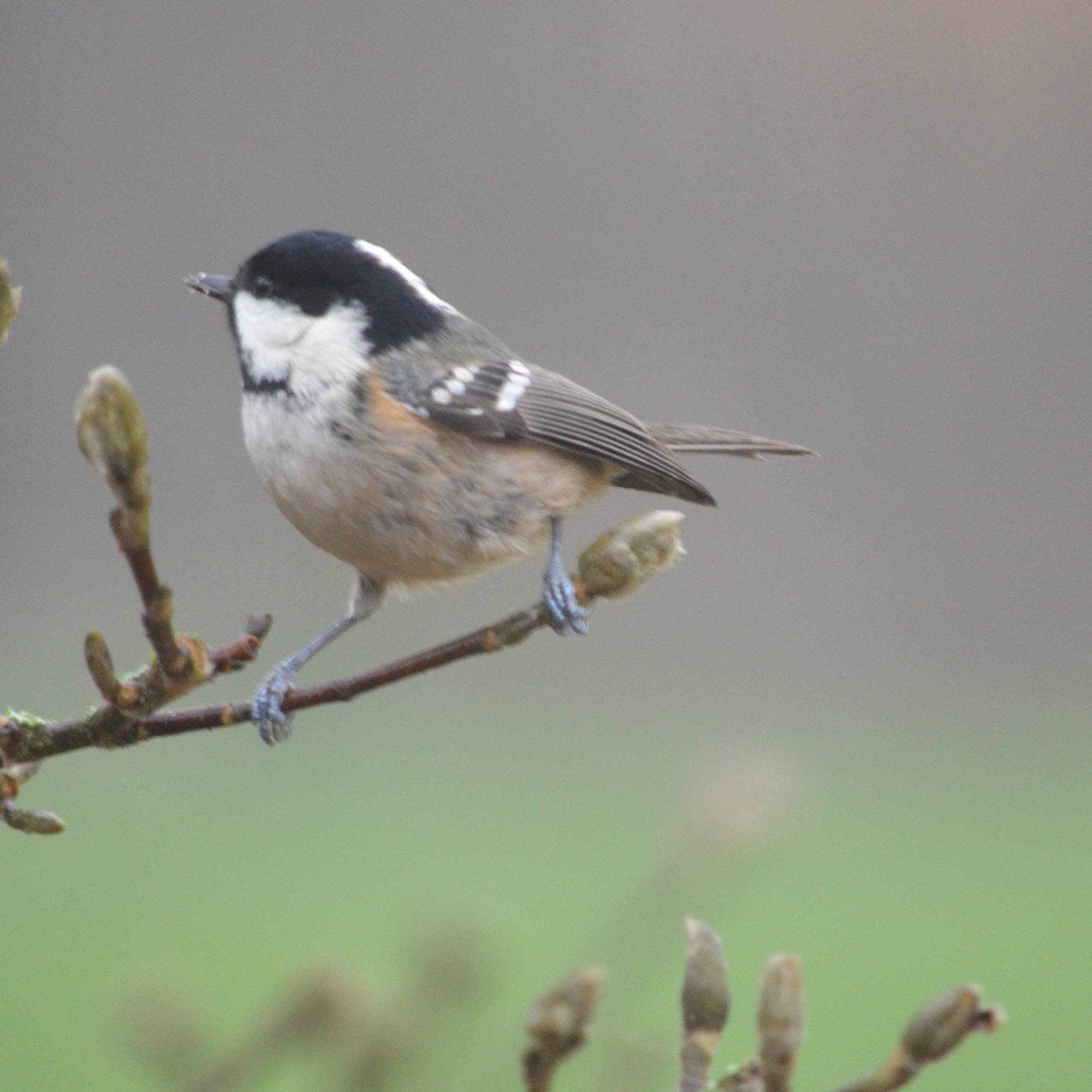 … mysterious jiggerypokery …