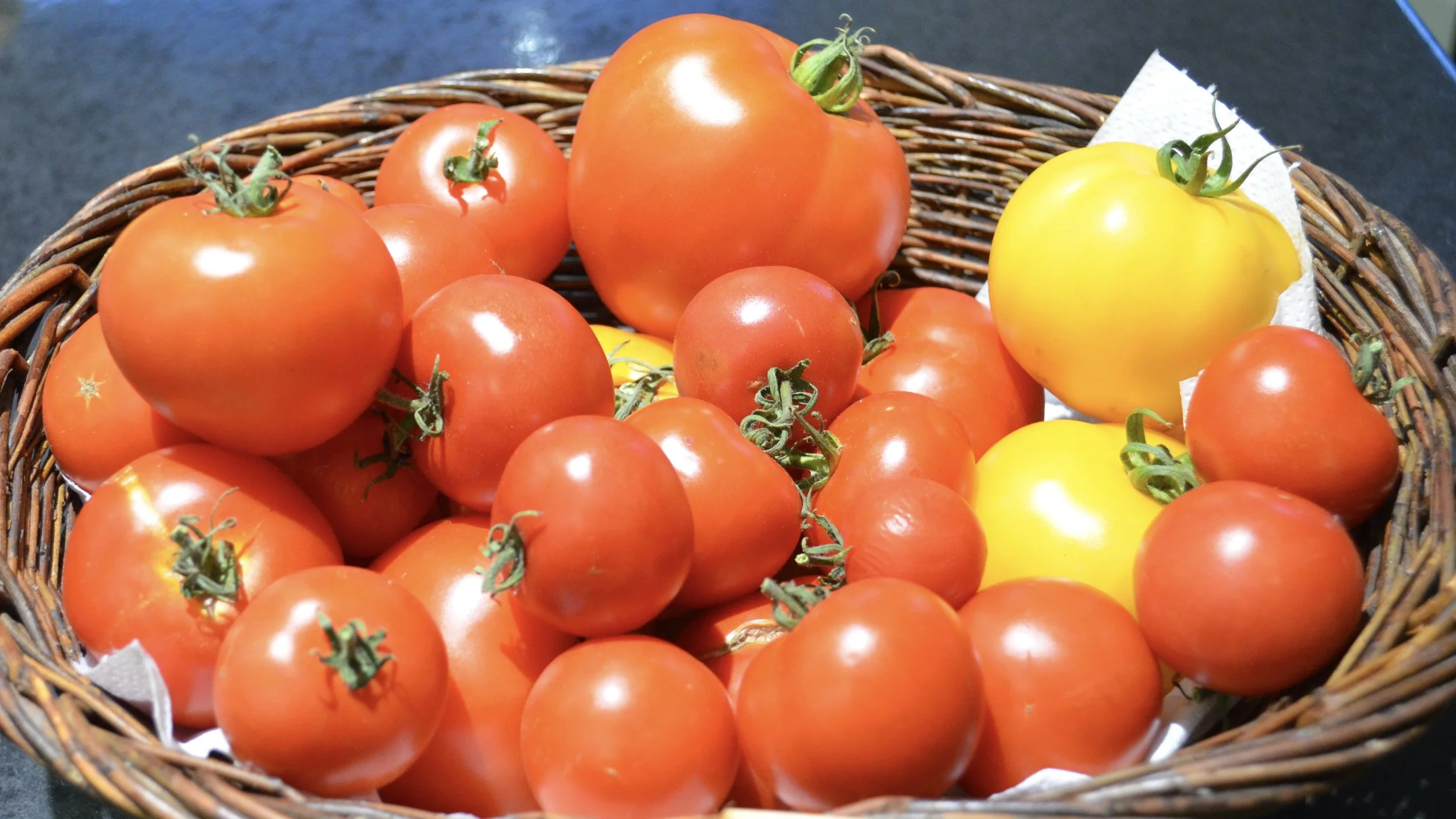 Totally tomatoes..