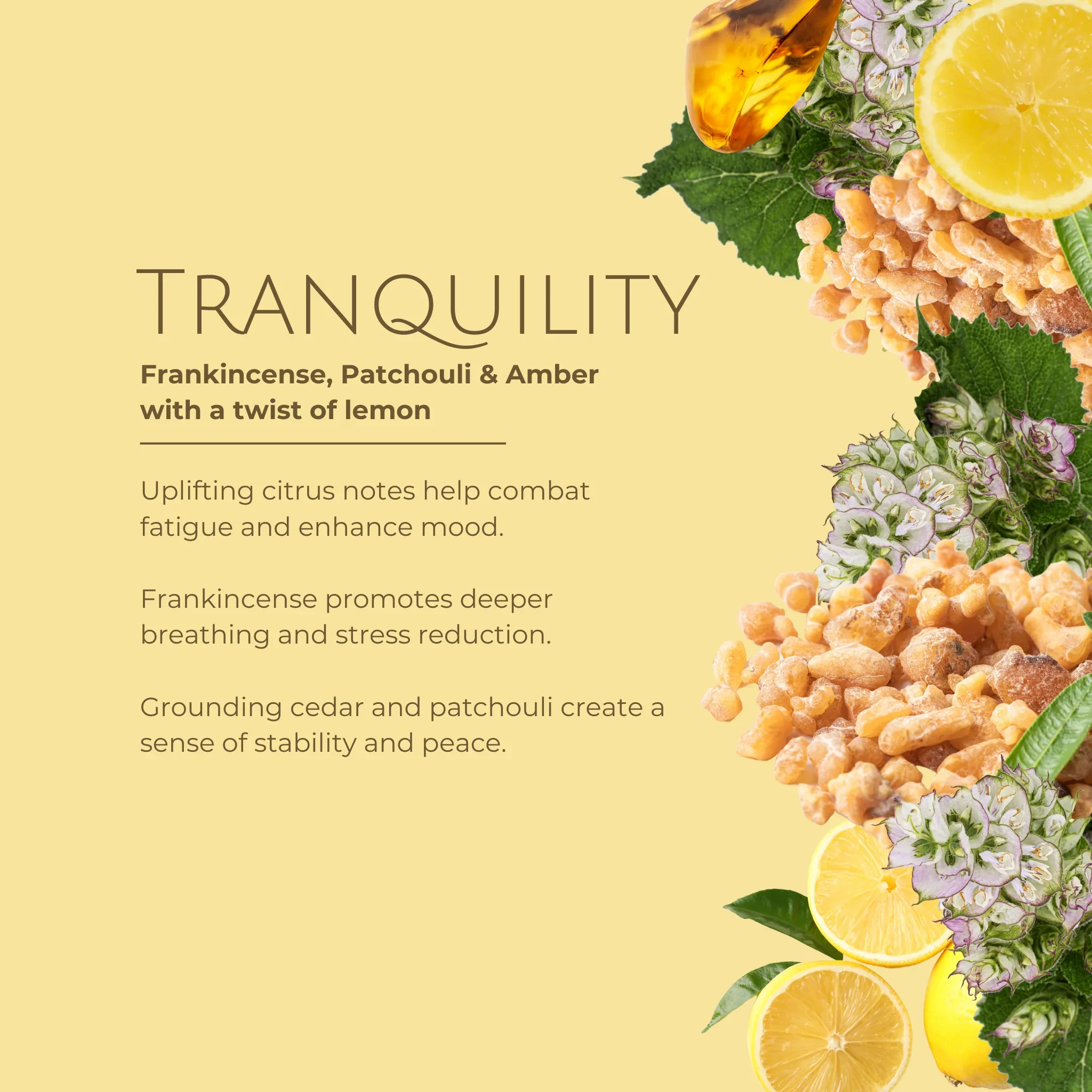 tranquility scent info.webp