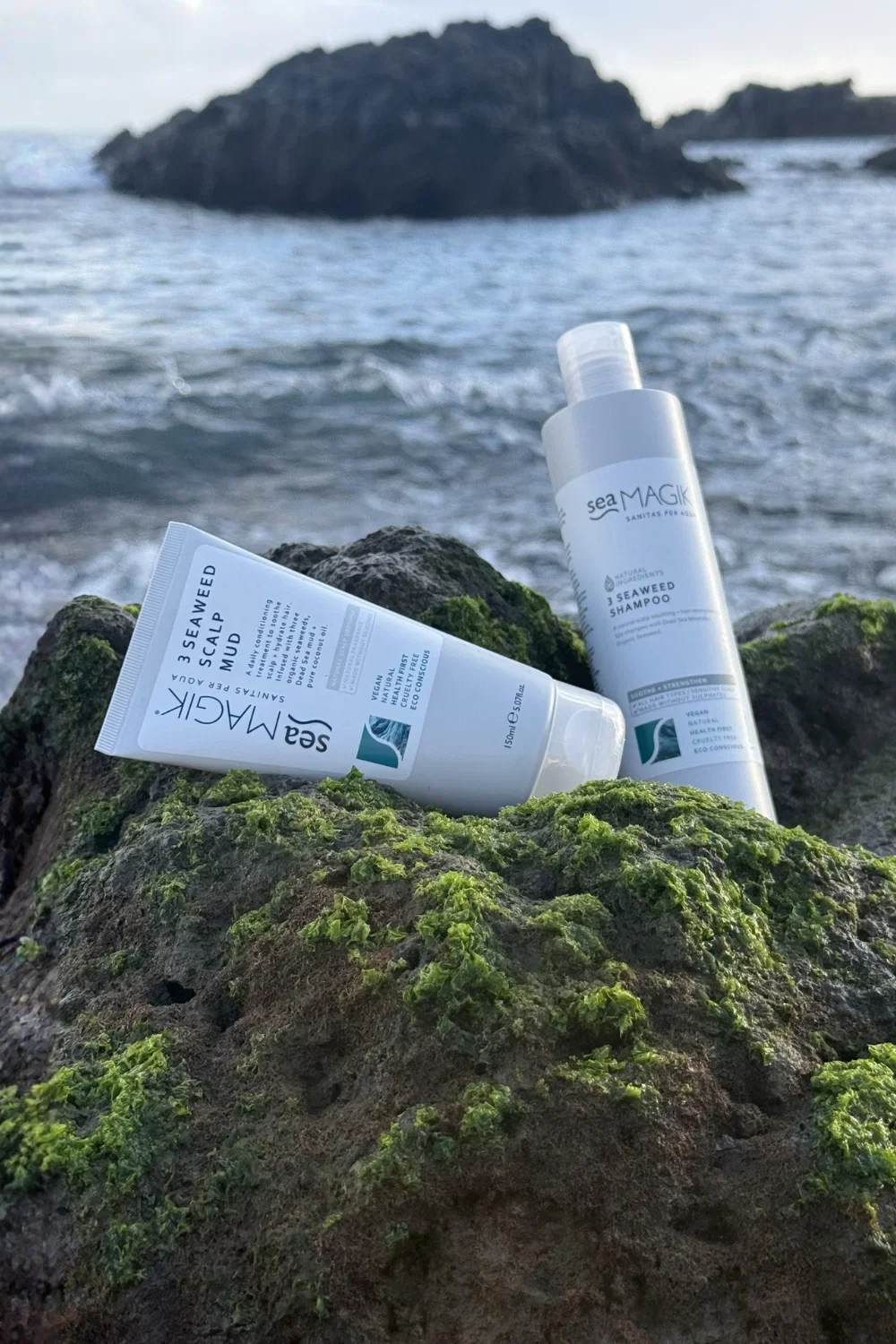 Seaweed_Duo.webp