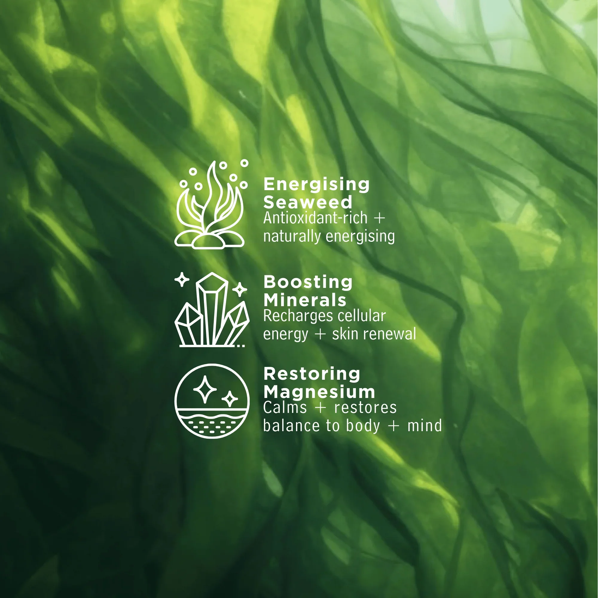 Seaweed_Energy_Infographic.webp