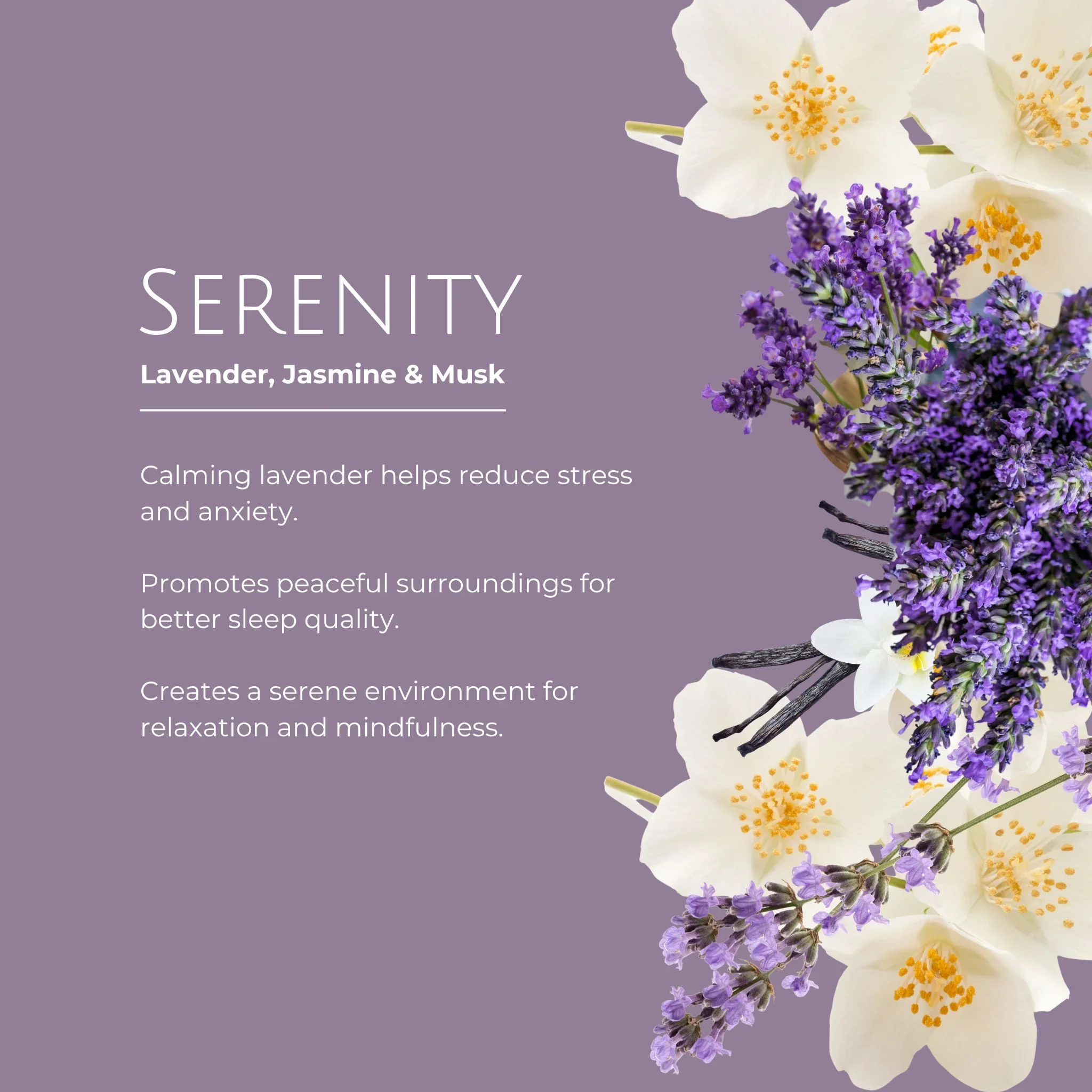 serentiy scent info.webp