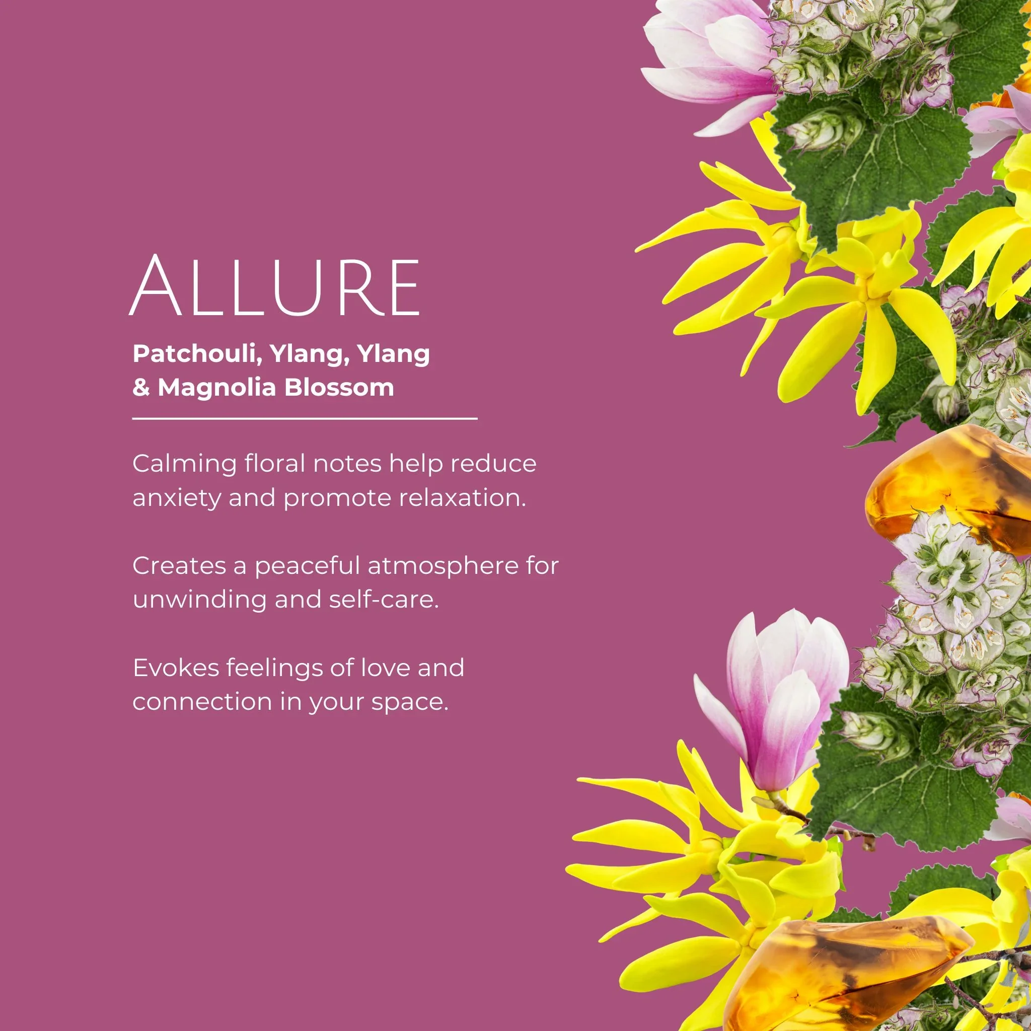 allure scent info.webp