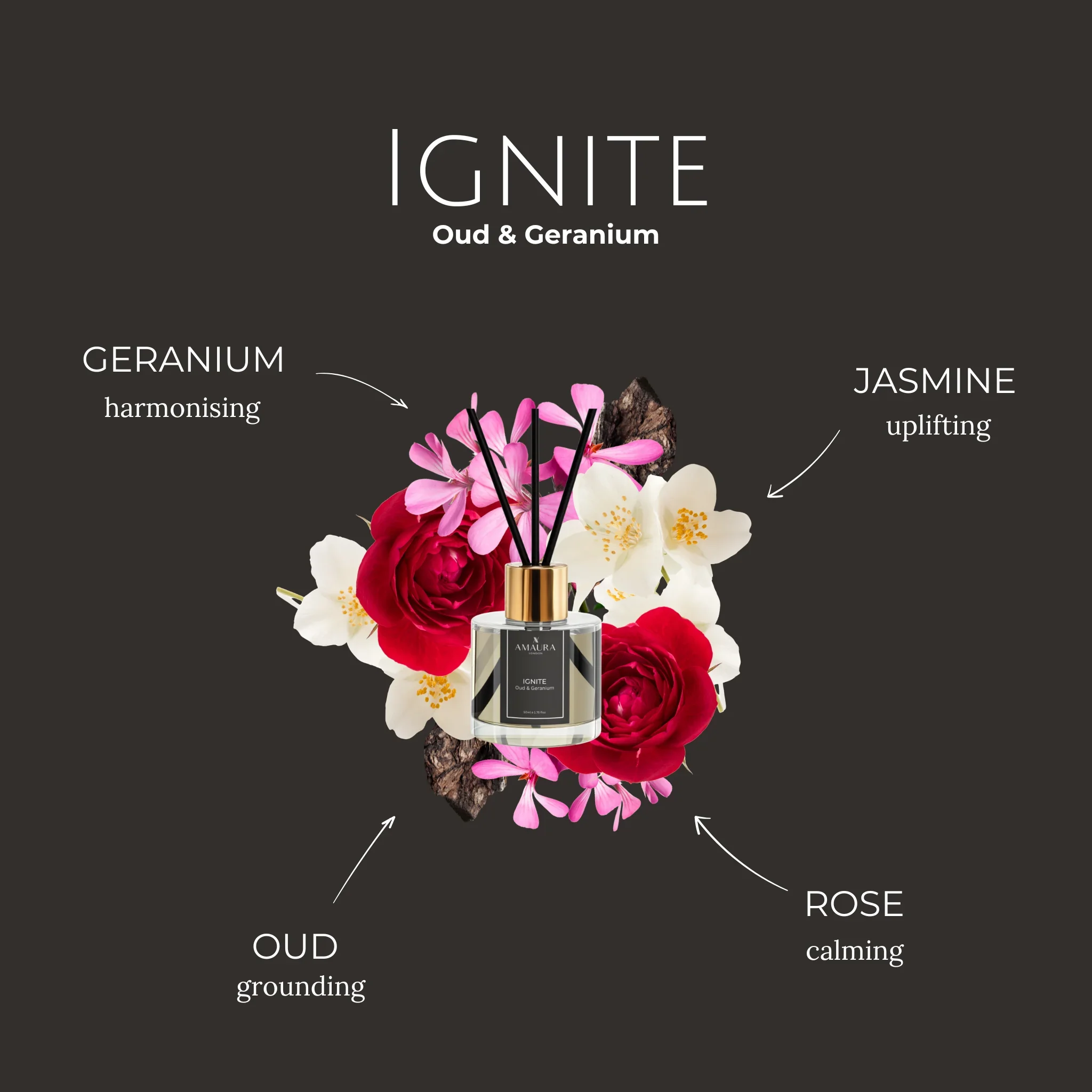 ignite scent diffuser.webp