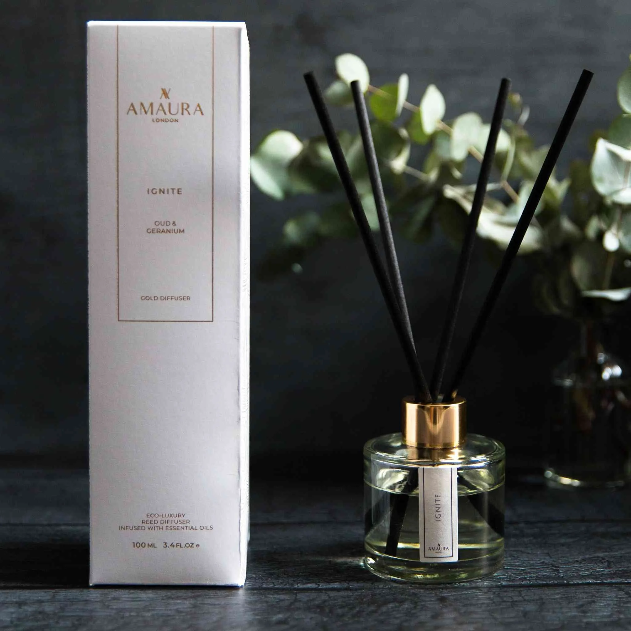 ignite 100ml diffuser.jpg
