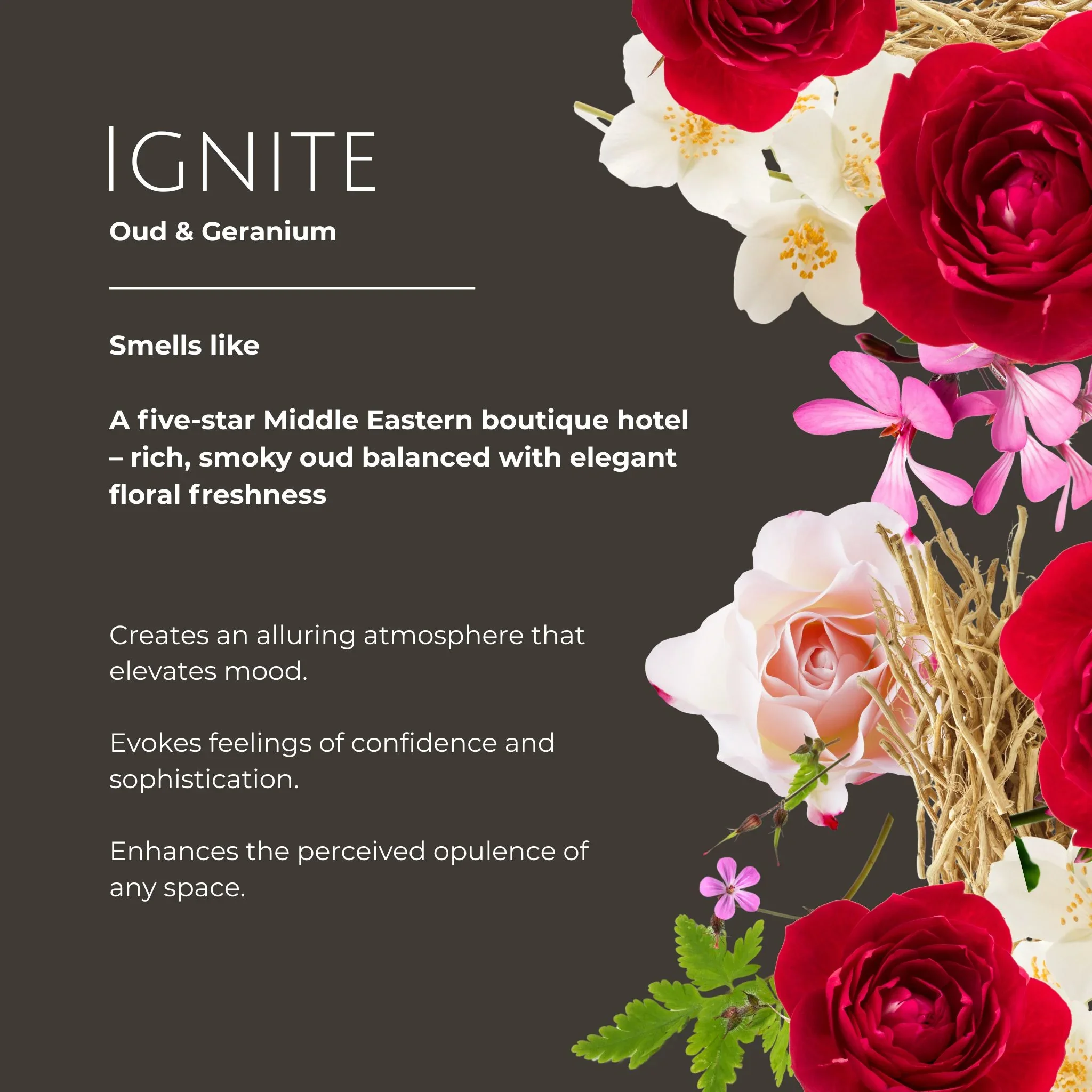 IgniteOud_GeraniumScentBenefits_1_c680e1cb-d311-40fd-a1d8-d54e6a0e7b34.webp