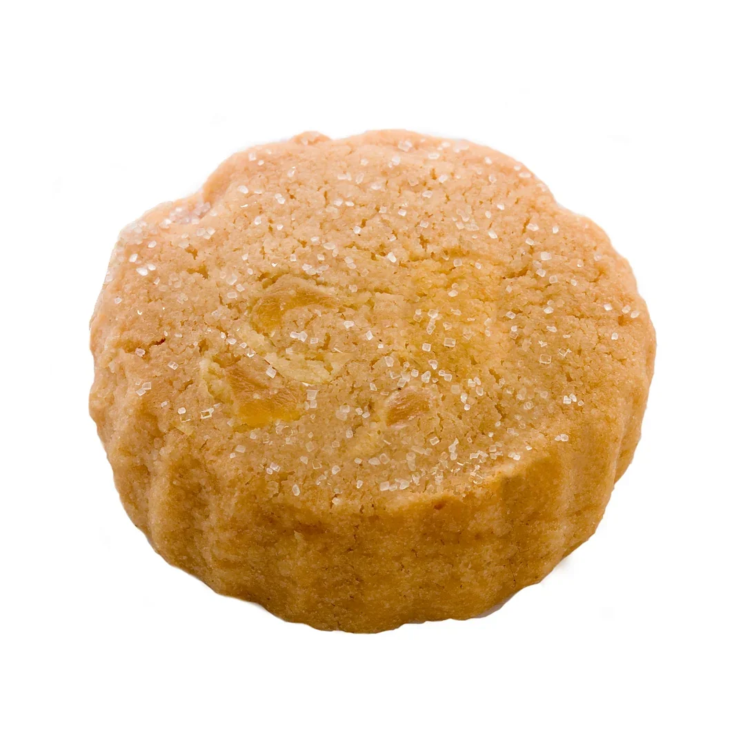 Ginger.webp