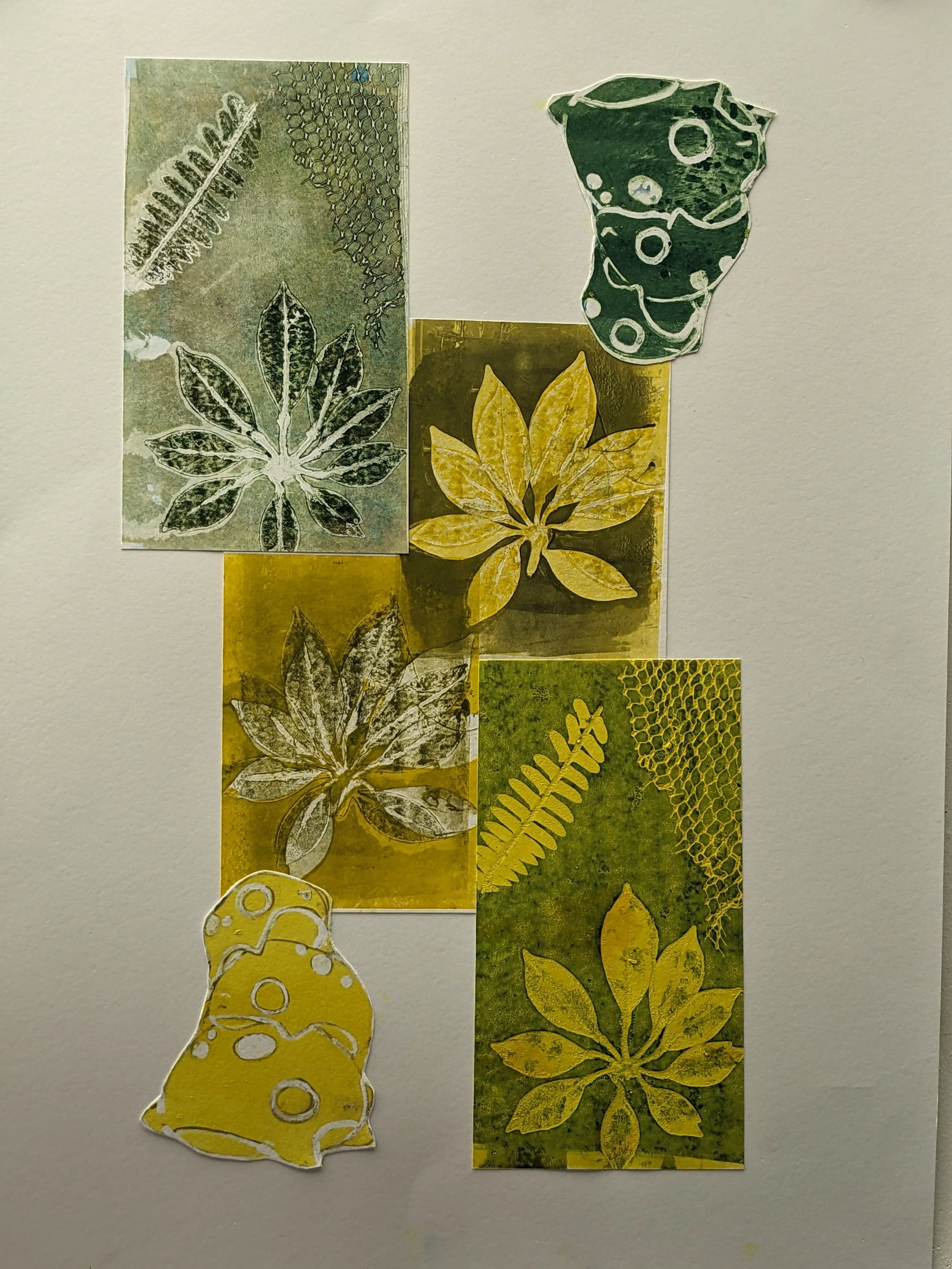 NATURE
2024
pochoir/trace monotype