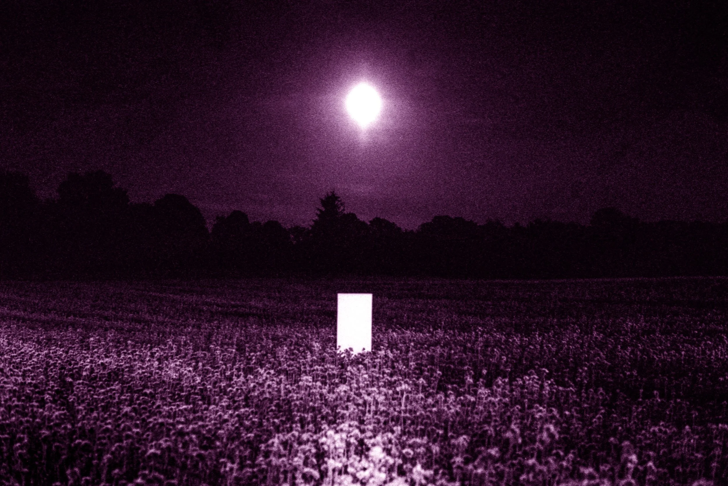 SZKARŁAT I PURPURA