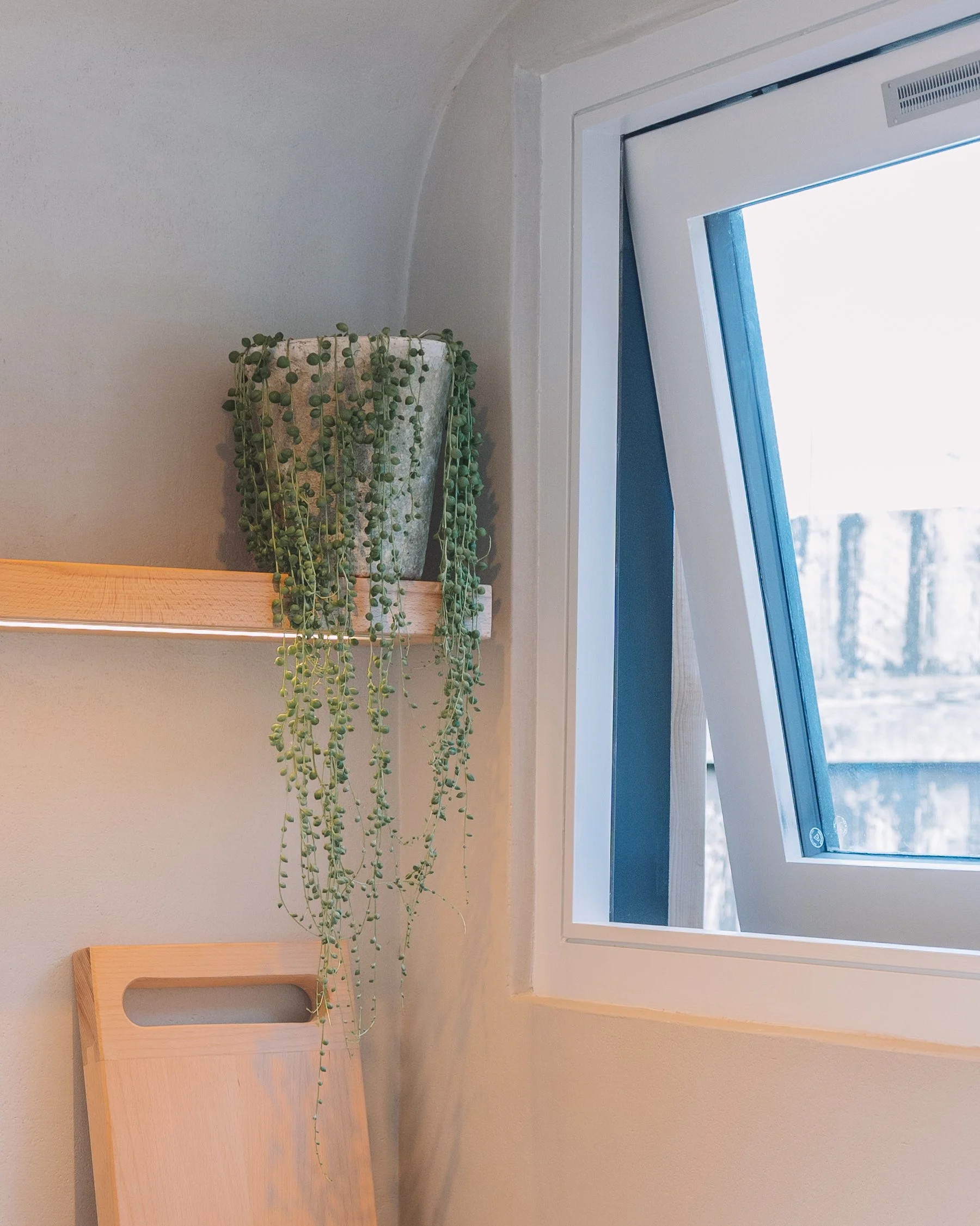 A hanging potted plant with trailing green foliage next to an open window in a room with light-colored walls.