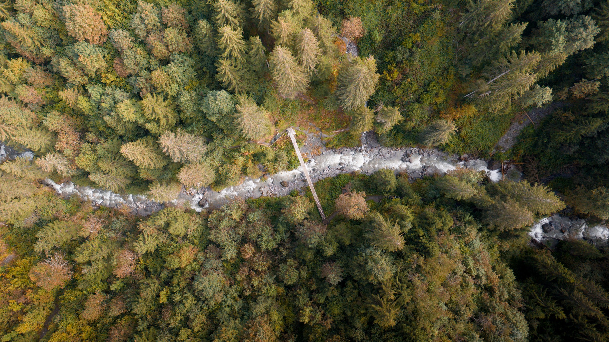 DJI_20240920112148_0302_D-2.jpg