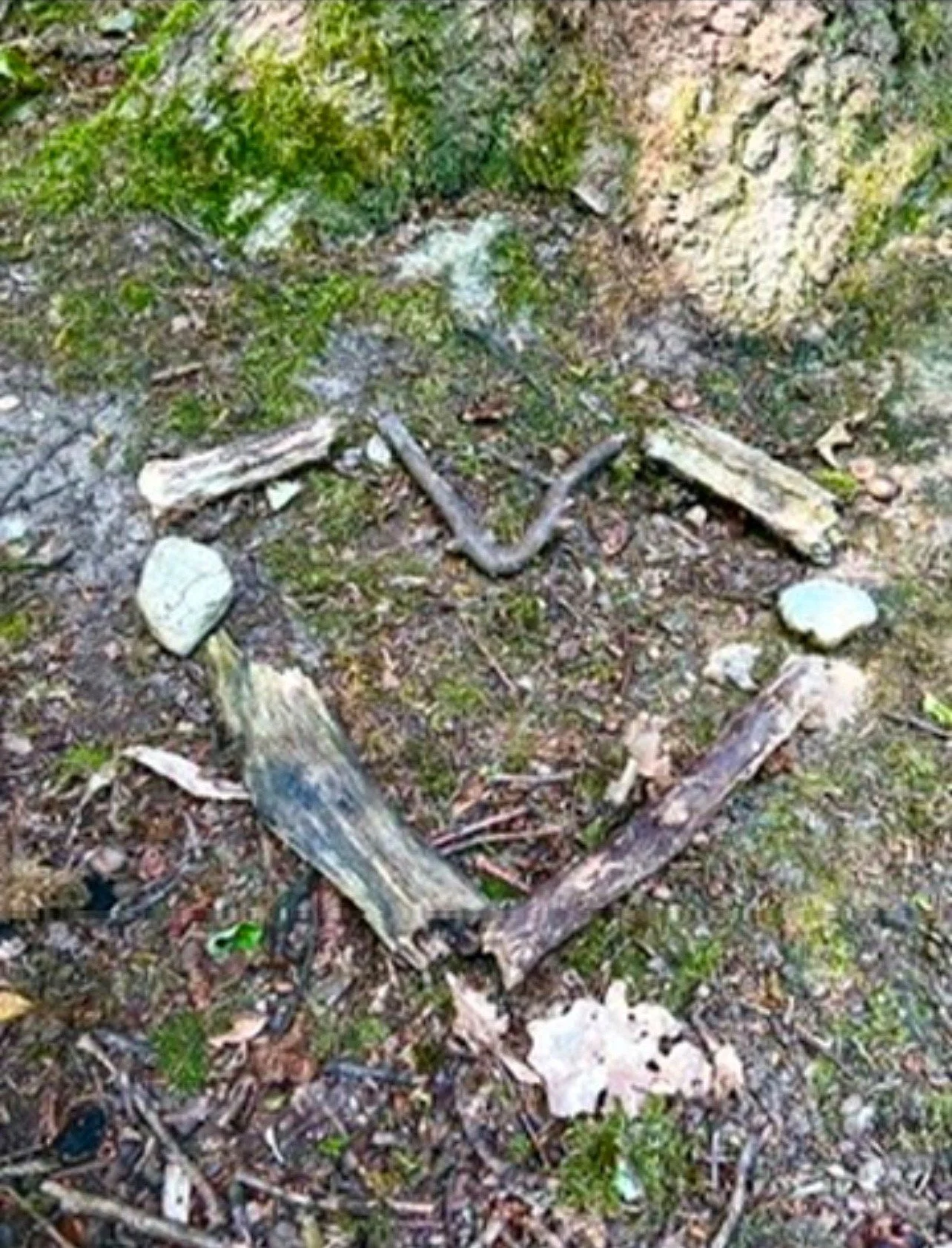 Herz als Holzstücken