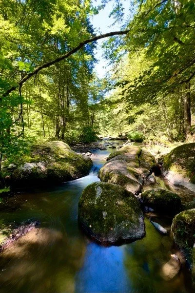 Waldlandschaft mit fließendem Bach und großen Felsen, sonnendurchflutet durch dichtes Blätterdach.