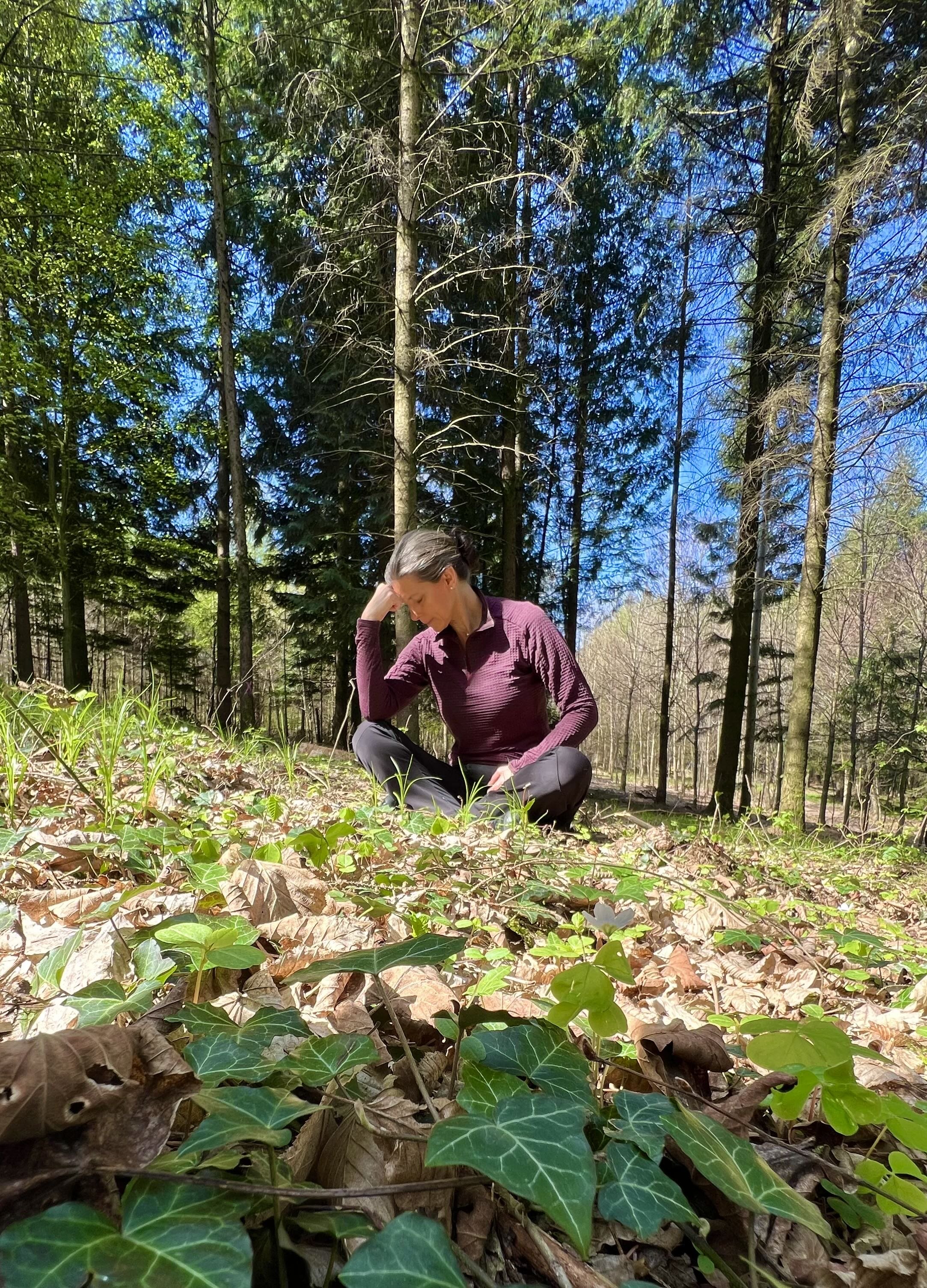 Konzentrationssteigerung durch Waldbaden