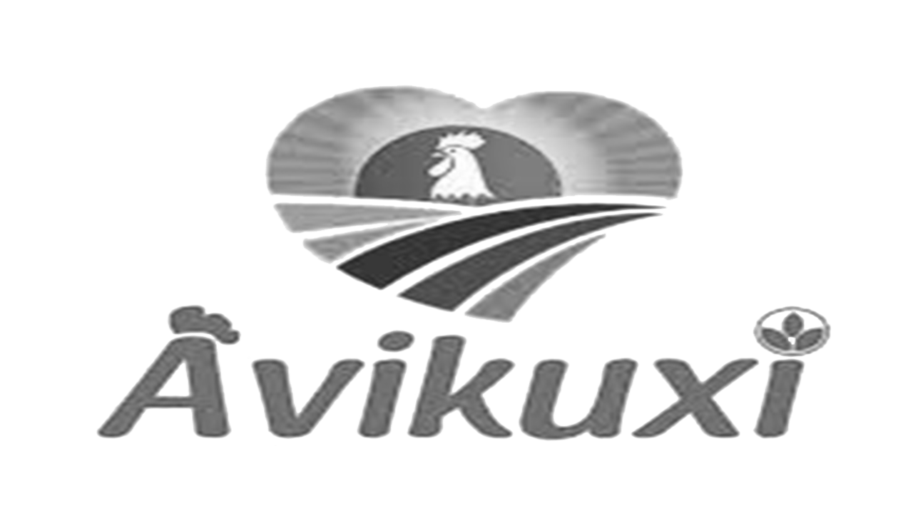 AVIKUXI FINAL