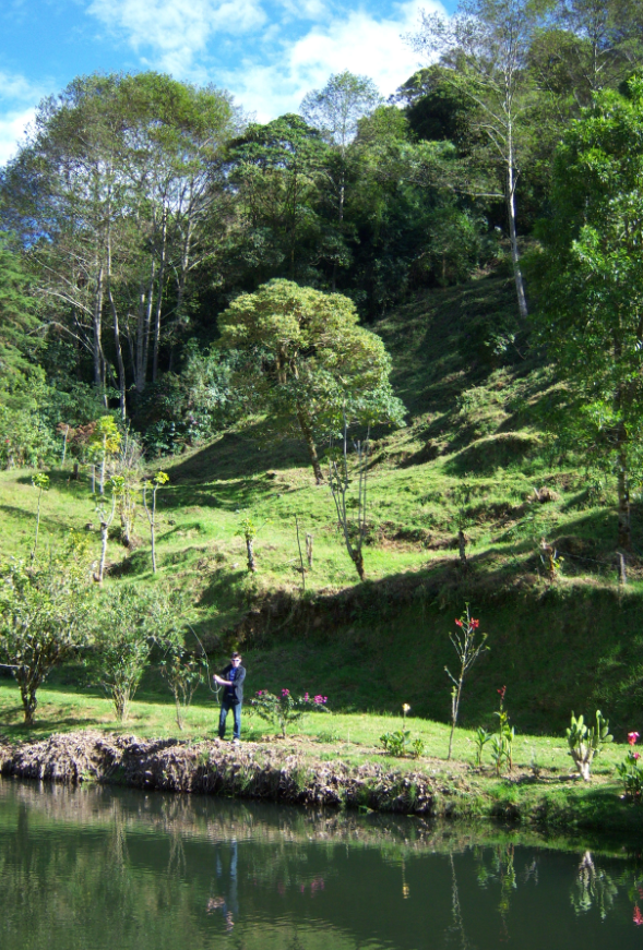 Screen shot 2012-02-24 at 2.27.34 PM.png