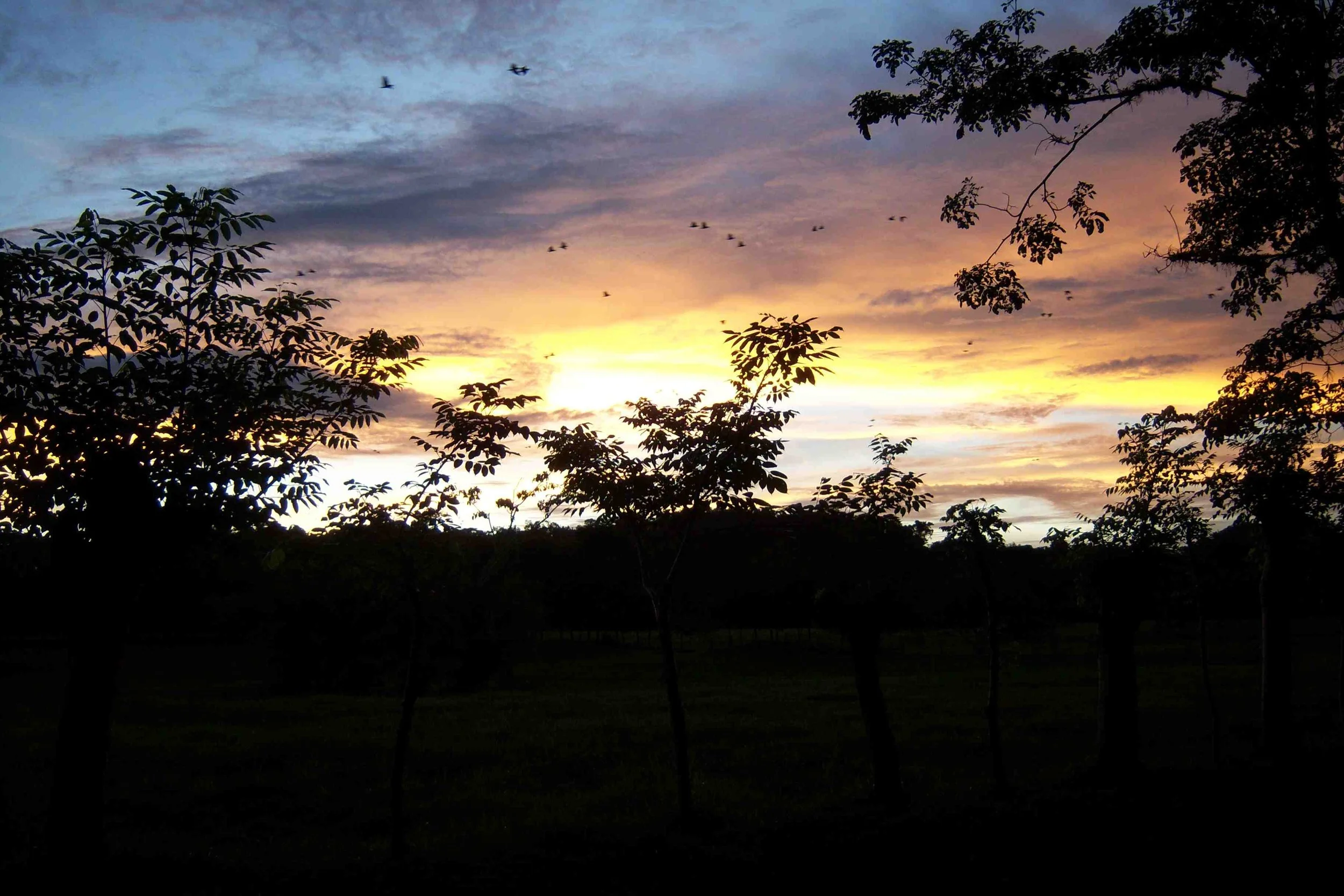100_1441.jpg