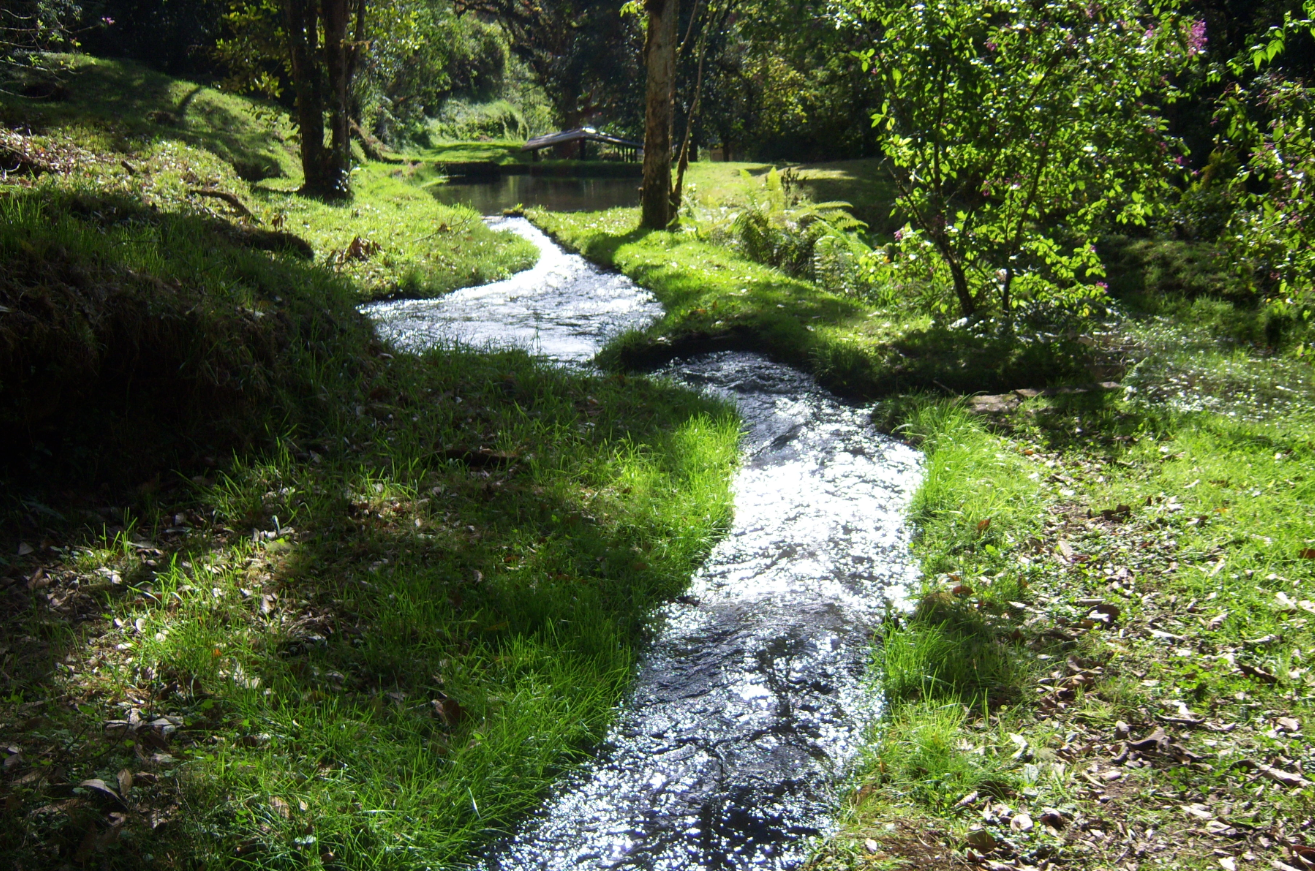 Screen shot 2012-02-24 at 2.29.09 PM.png