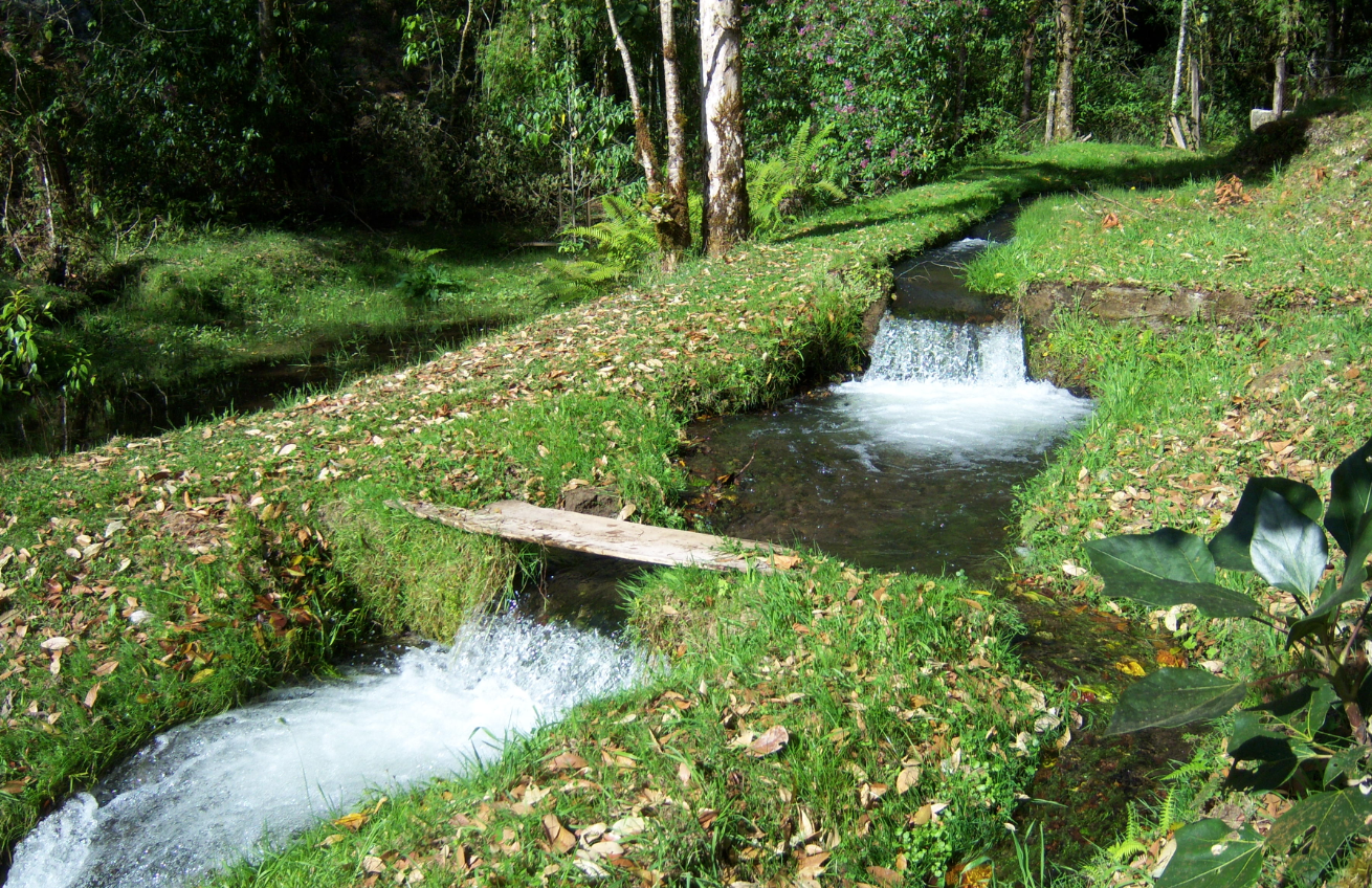 Screen shot 2012-02-24 at 2.28.55 PM.png