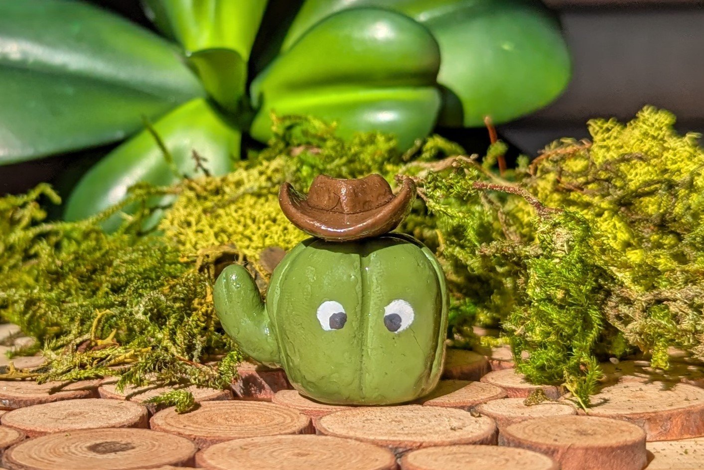Cactus Cowboy hat.jpg
