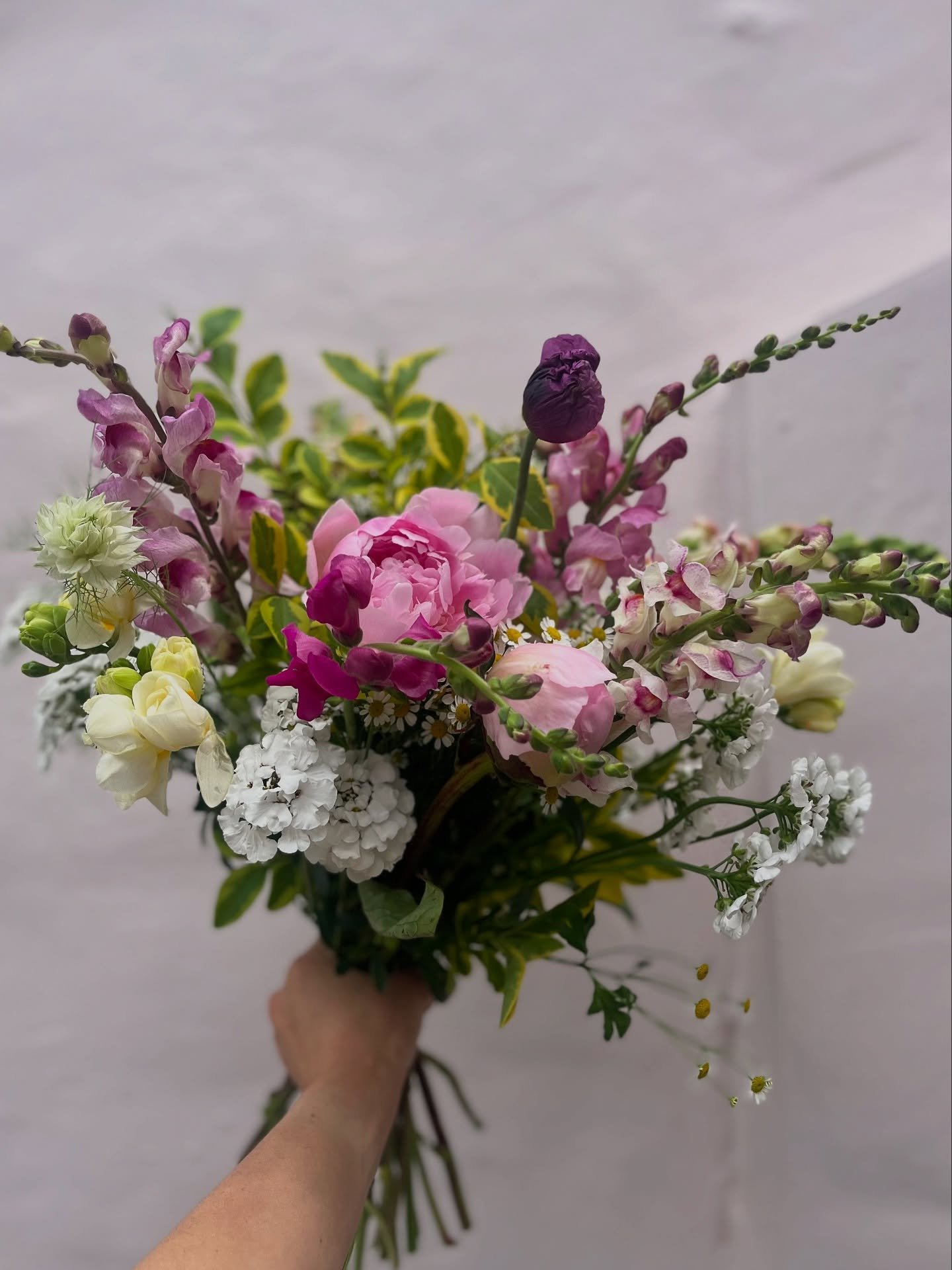 A springtime garden scoop from earlier in the year 
🧈🫜🐑