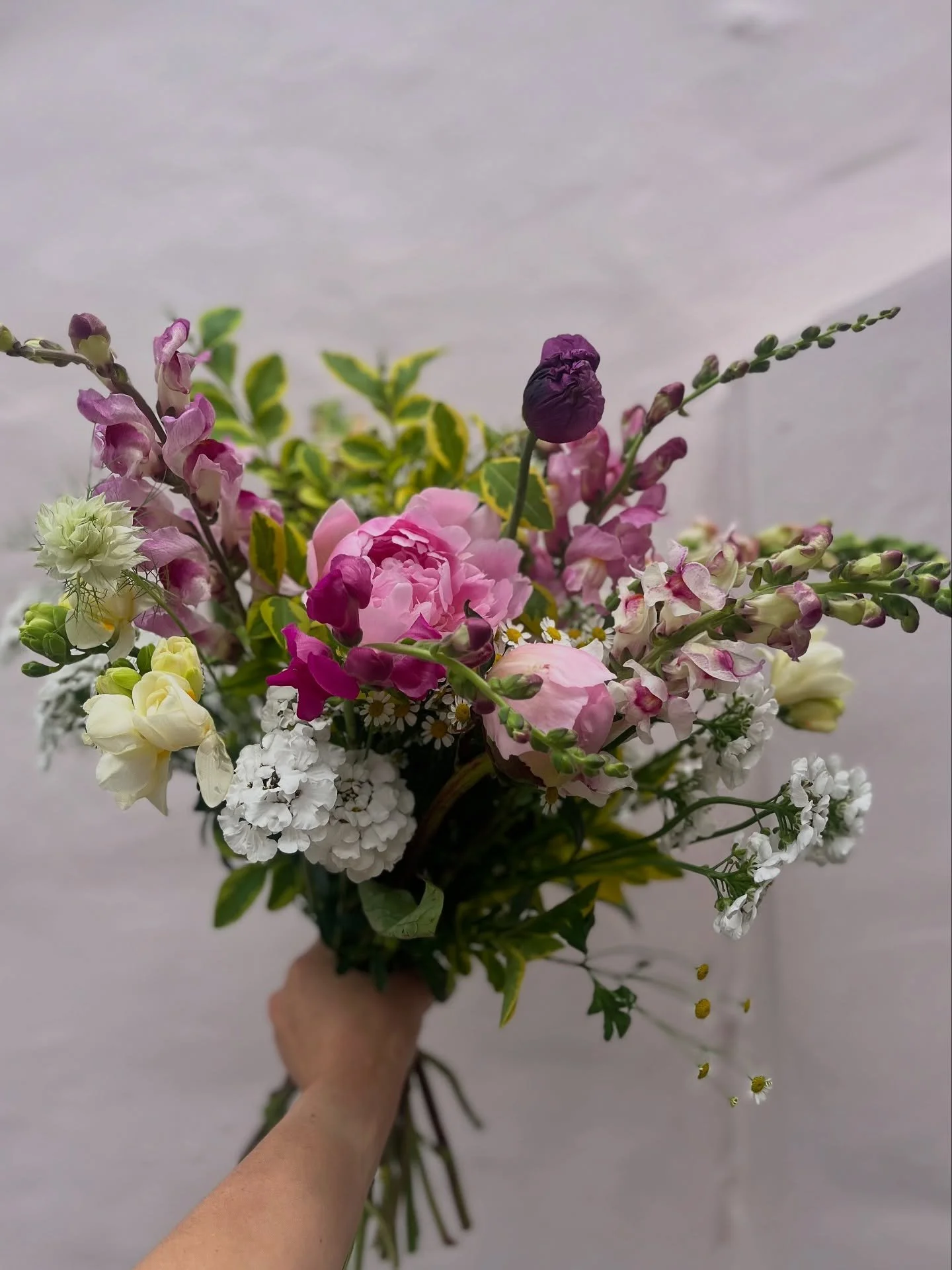 A springtime garden scoop from earlier in the year 
🧈🫜🐑