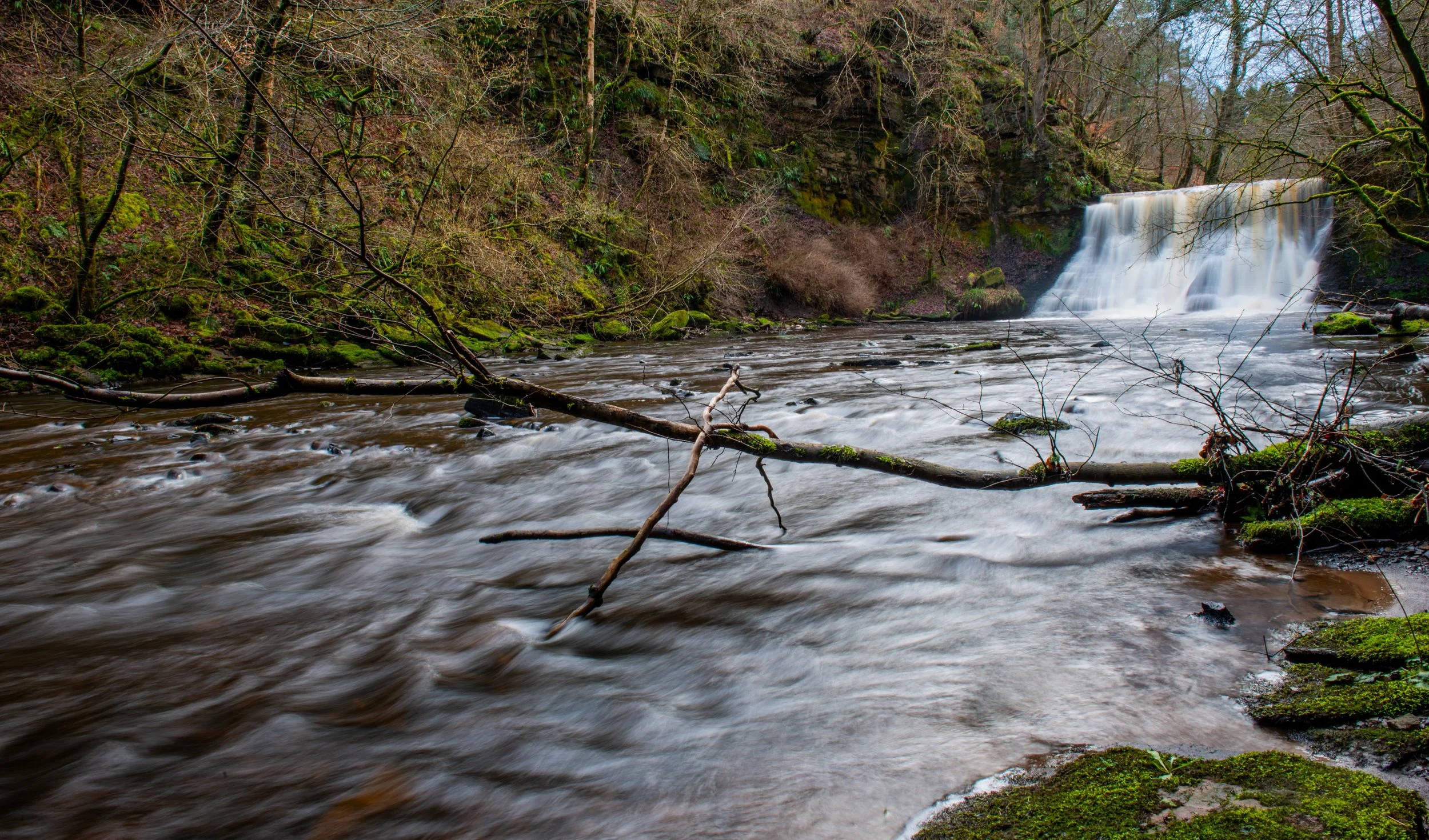 Calderglen_3.jpg
