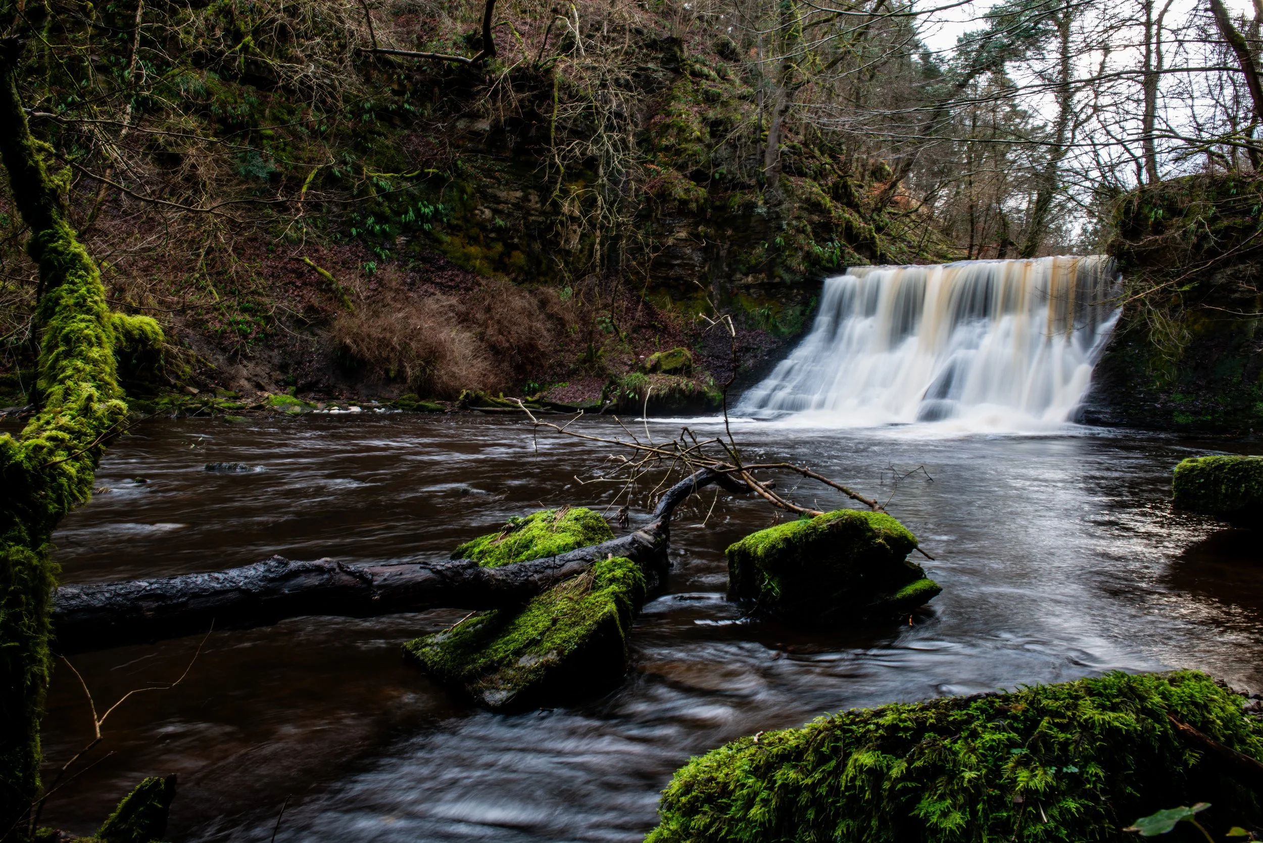 Calderglen Waterfall Photography Print | Scottish Landscape Wall Art | Nature Photo