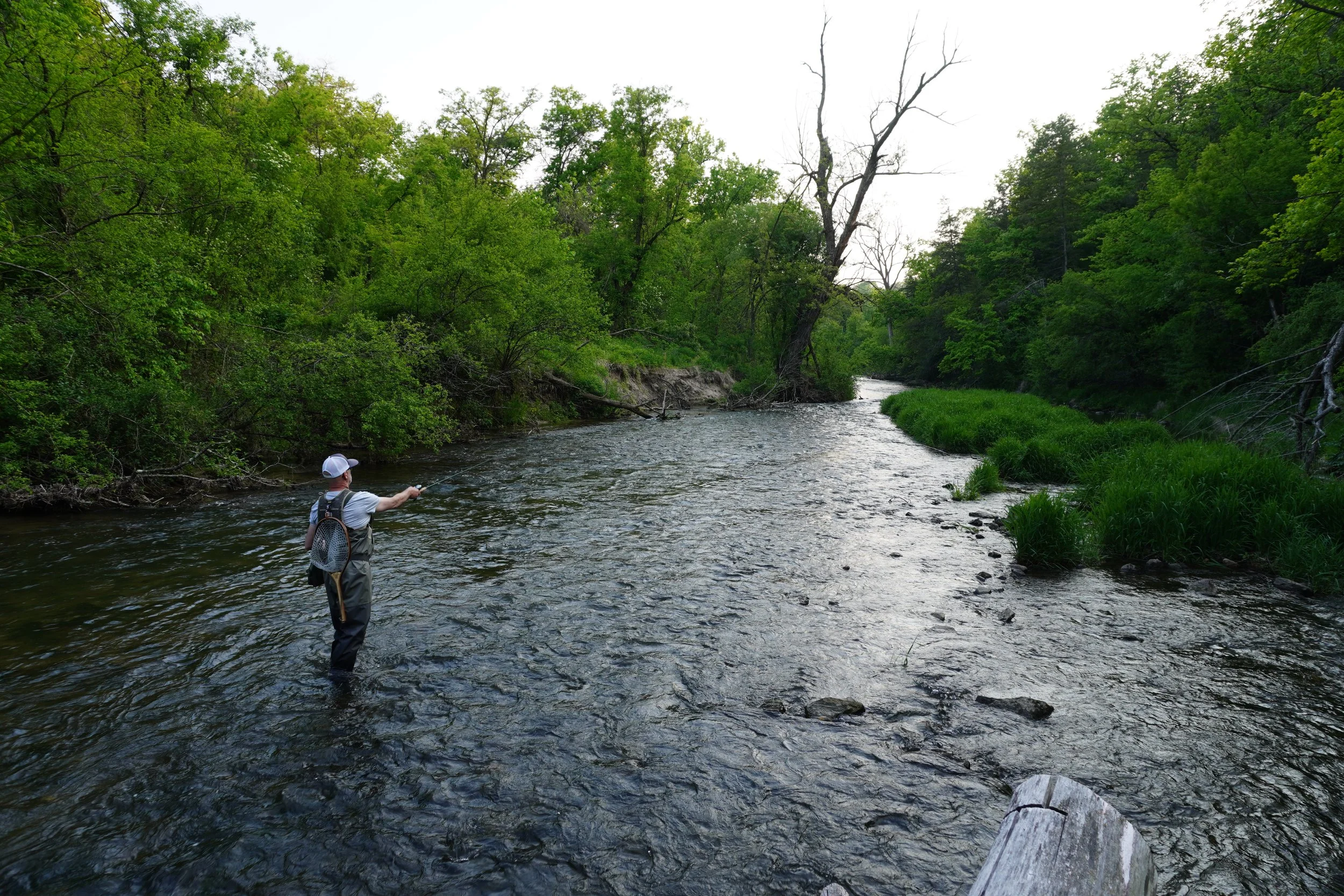 A person fishing in a river surrounded by green trees, with some trees on the bank missing leaves, during daylight.