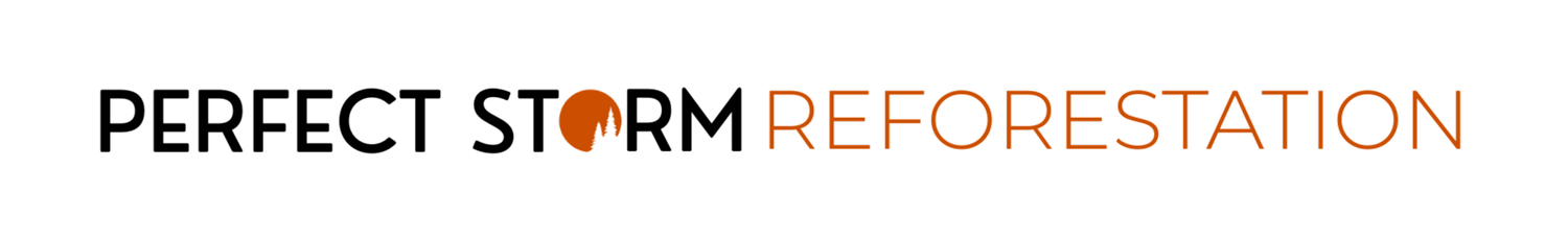 Perfect Storm Reforestation