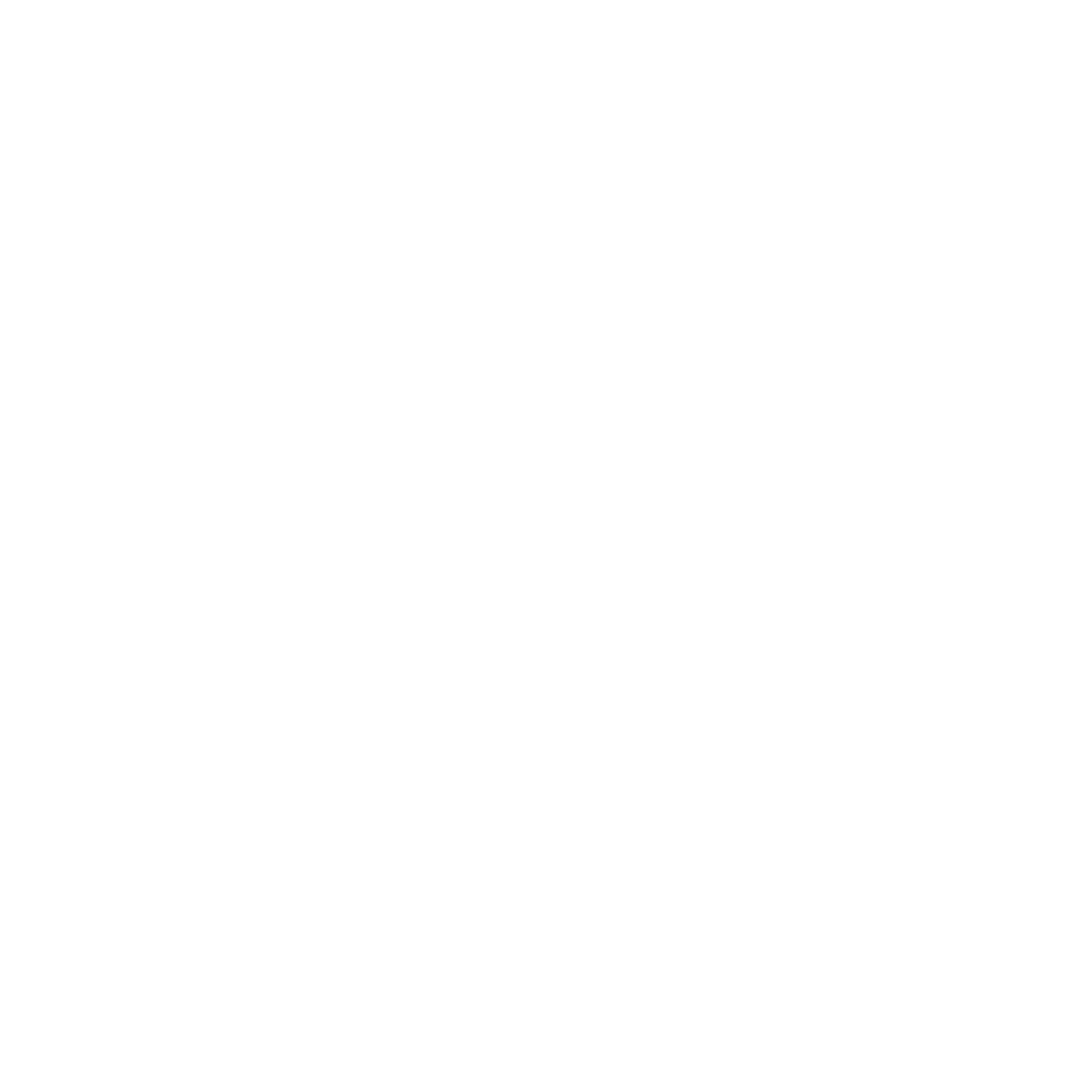 L. Schumacher Consulting