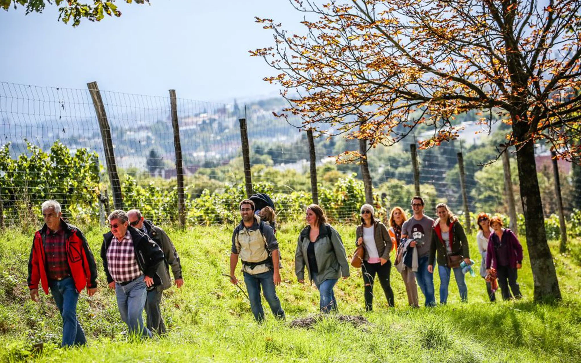 Wiener Weinwandertage
