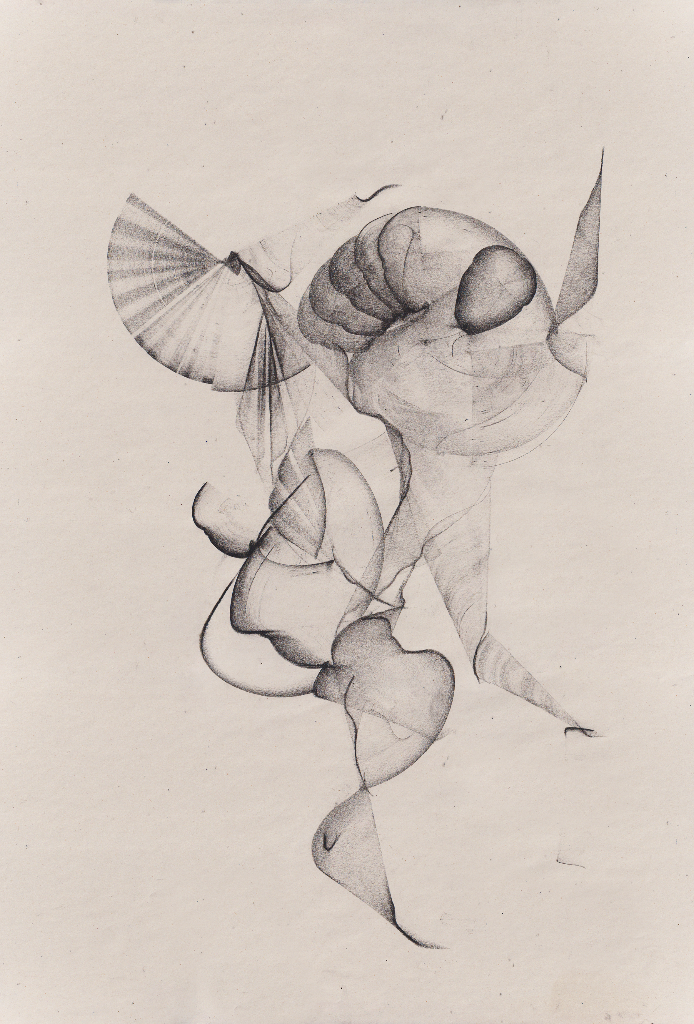 A detailed graphite pencil drawing of a rose with leaves, and what appears to be a fan or feather in the upper left part of the image.