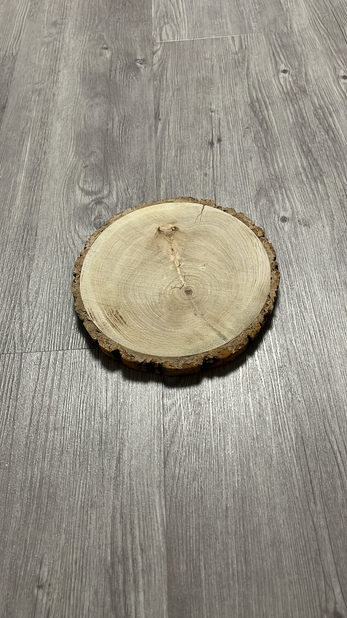 Holzscheibe klein 23cm