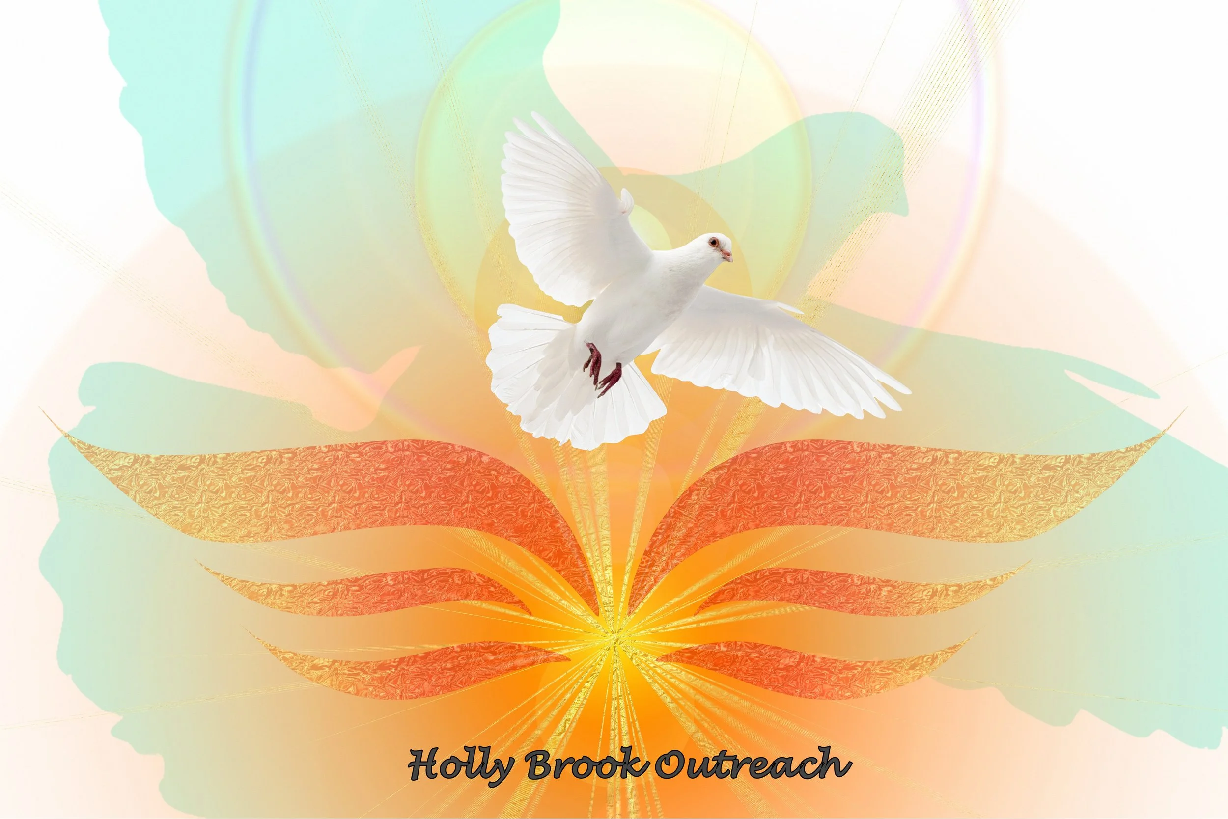 Holly Brook Outreach 