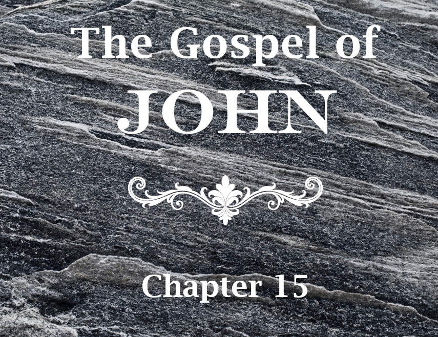 John 15
