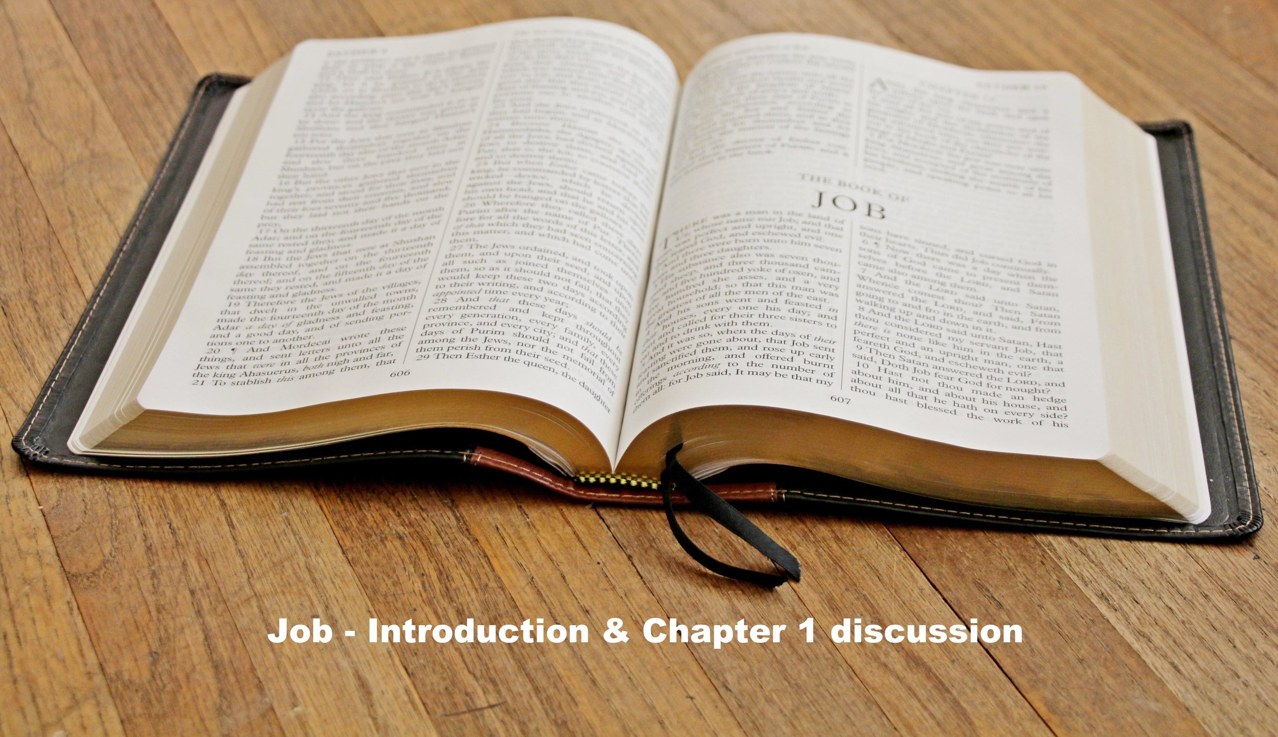 Job - Introduction & Chapter 1 Discussion