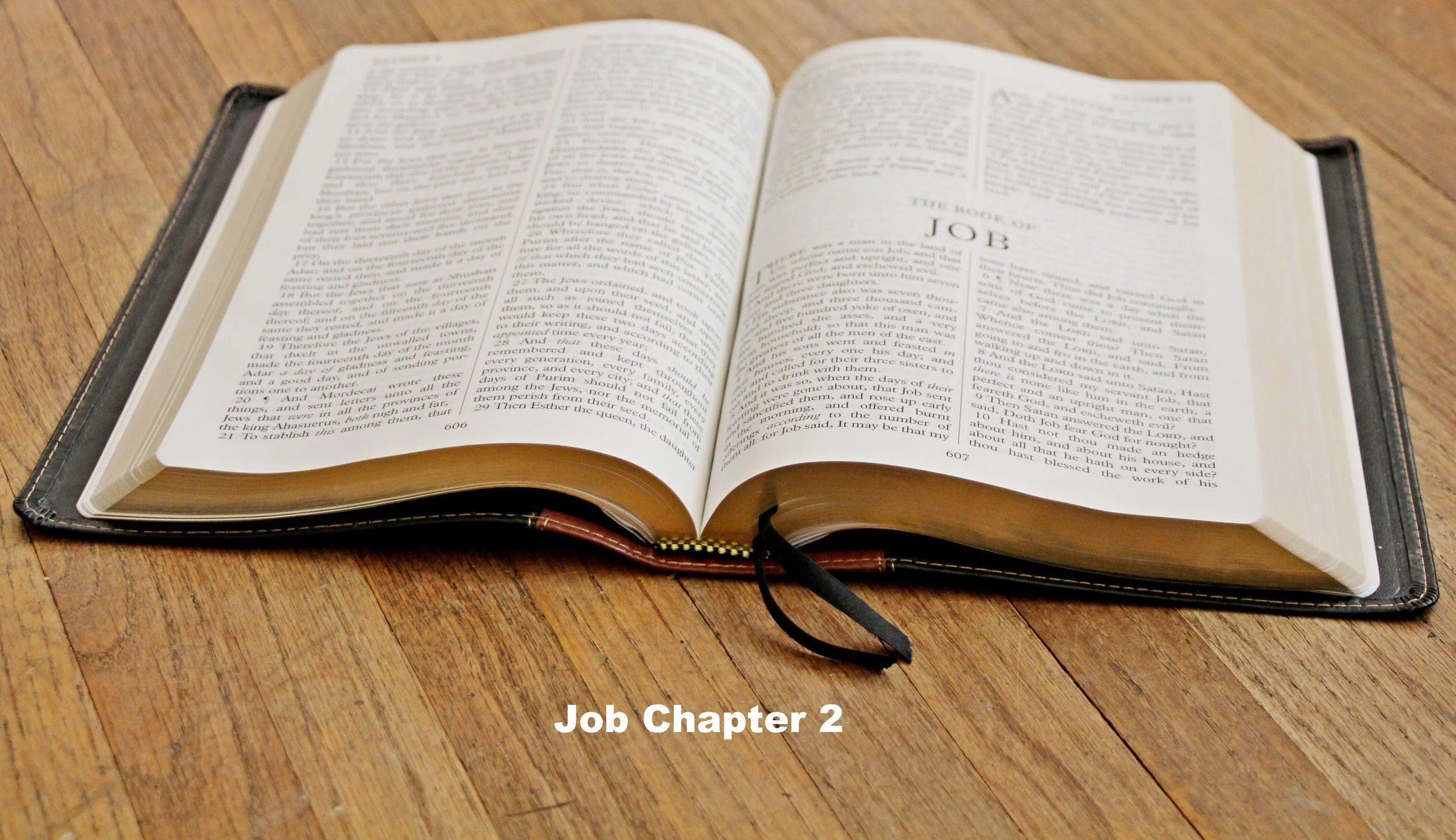 Job - Chapter 2