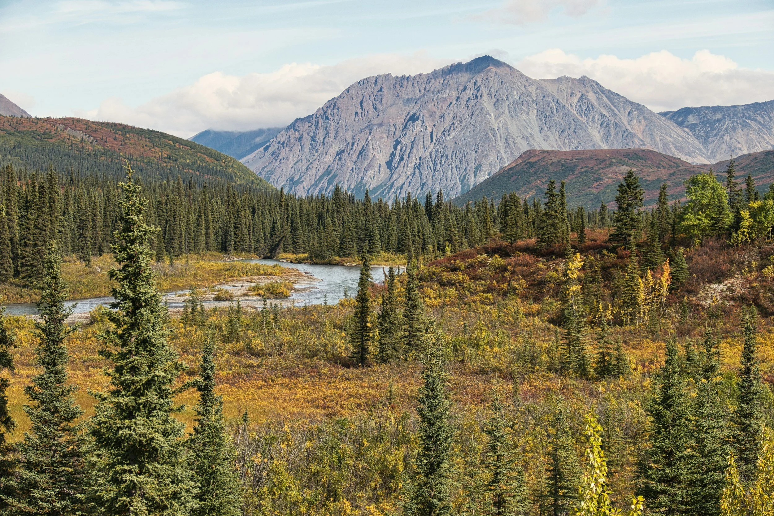 A scenic landscape featuring a river winding through a forest of evergreen trees with mountains in the background, under a partly cloudy sky.