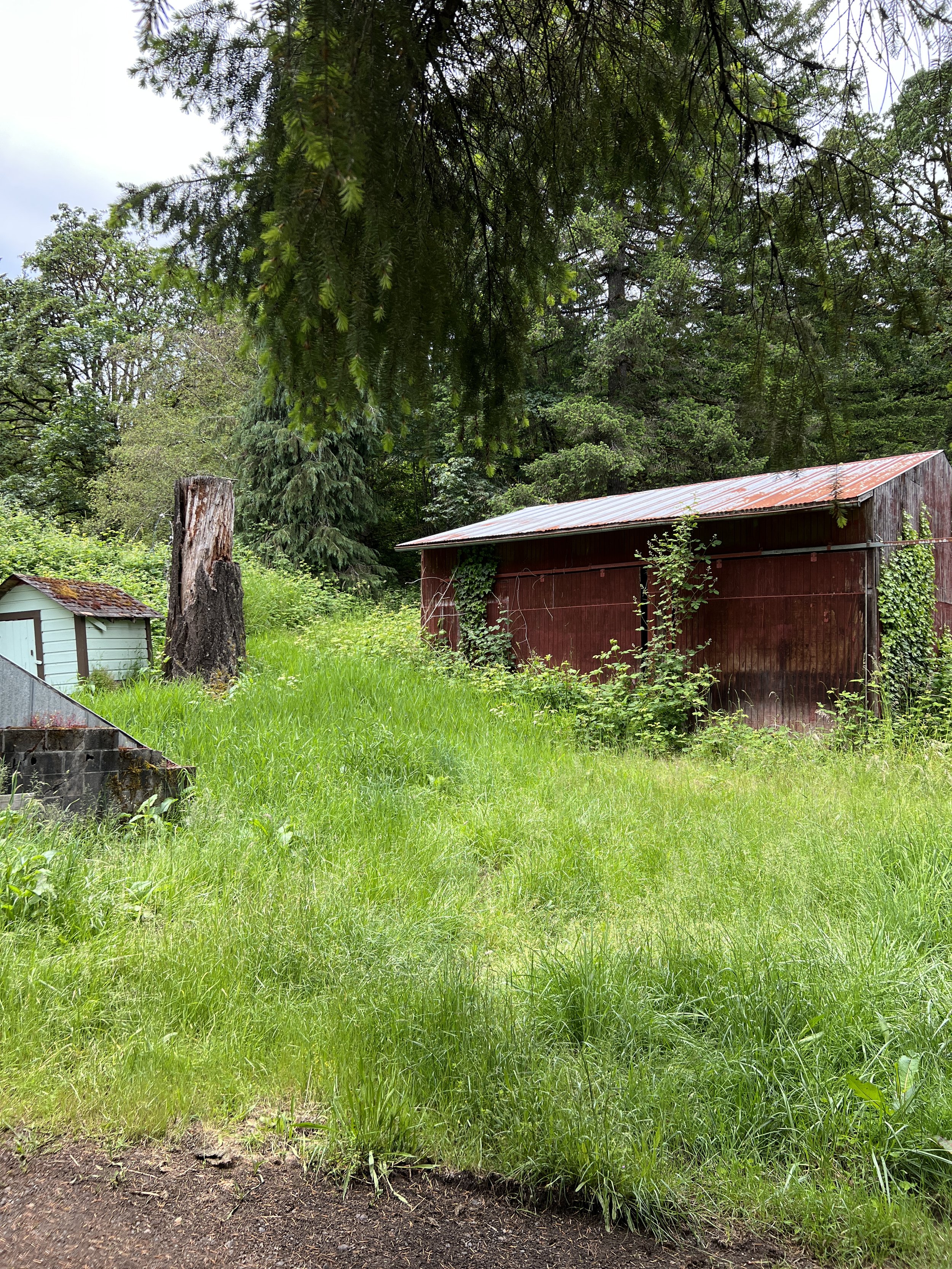 Before:  The front of the property
