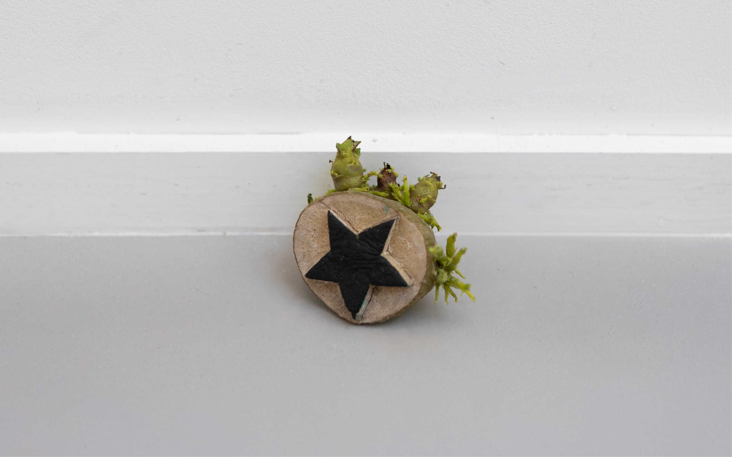 Yield (2026) Russet potatoes, acrylic on board 
