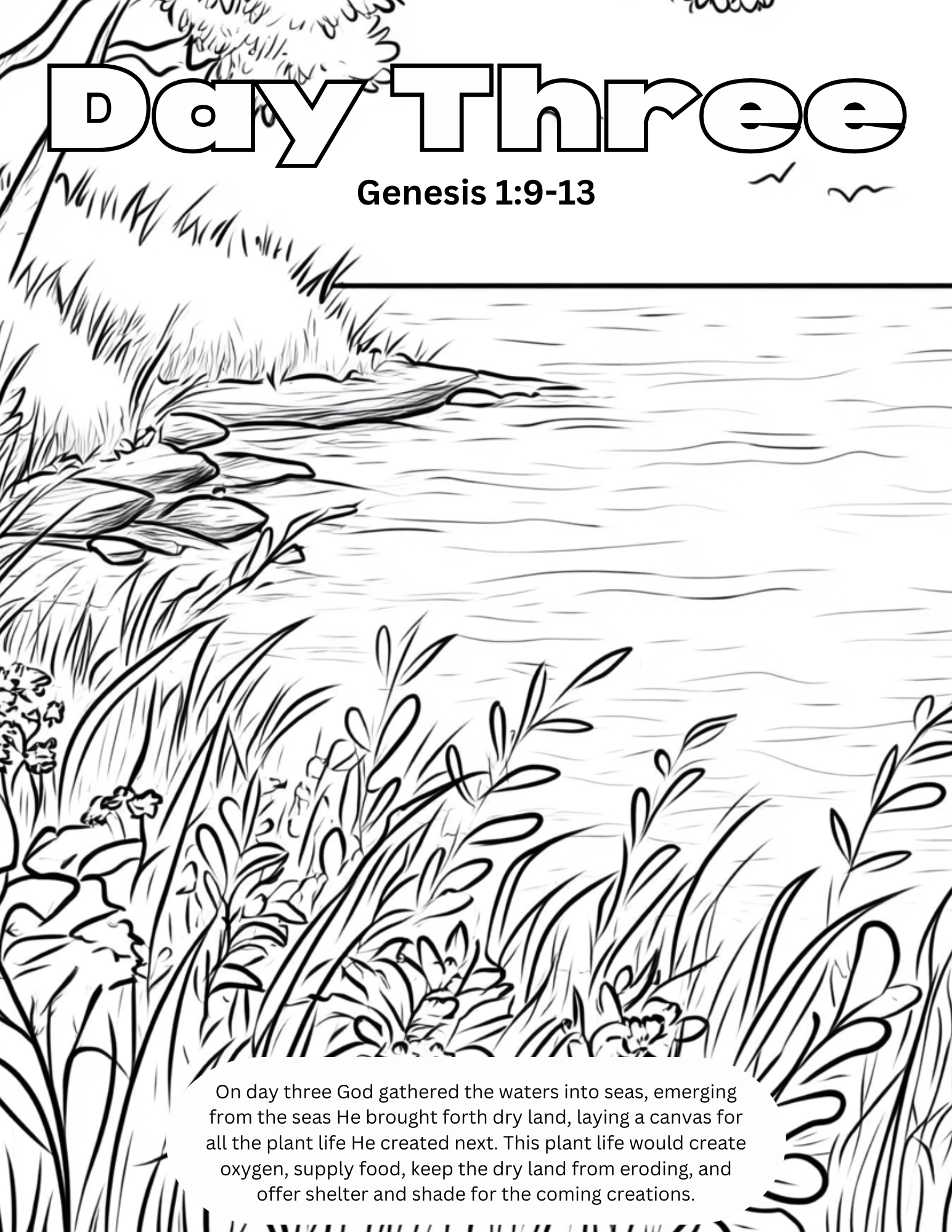 CreationLesson (3).png