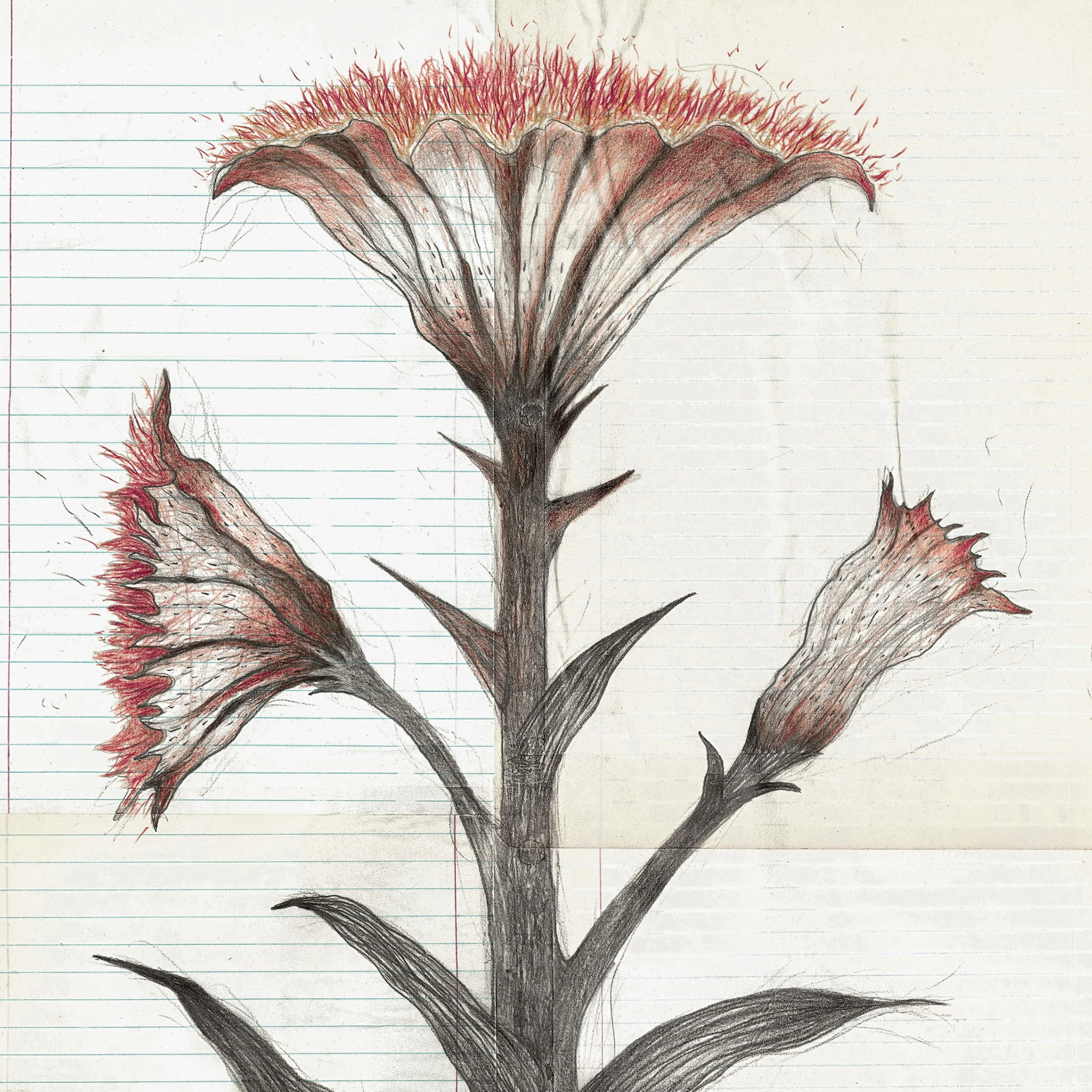 Ace of Wands (detail).jpg