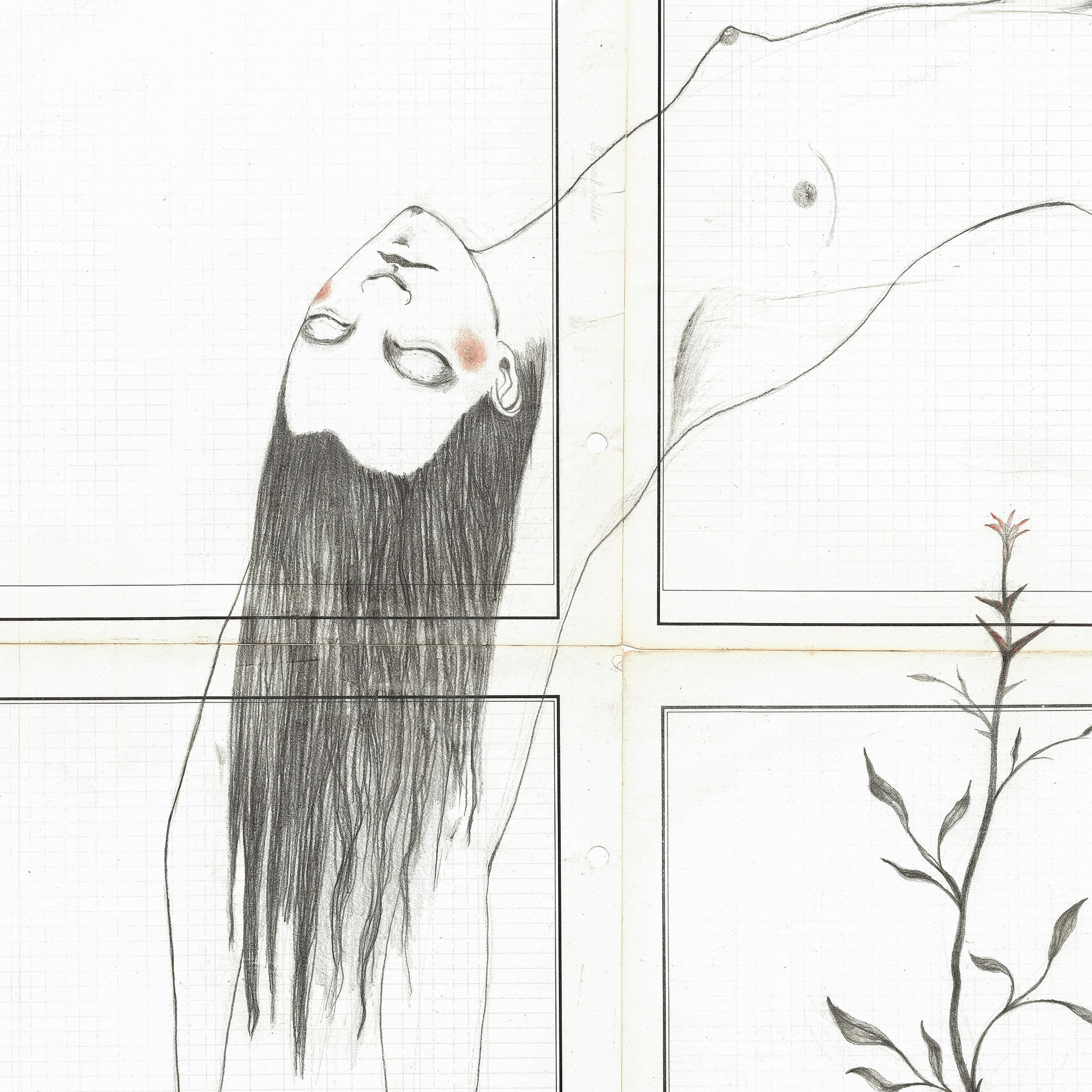 The Wheel-detail.jpg