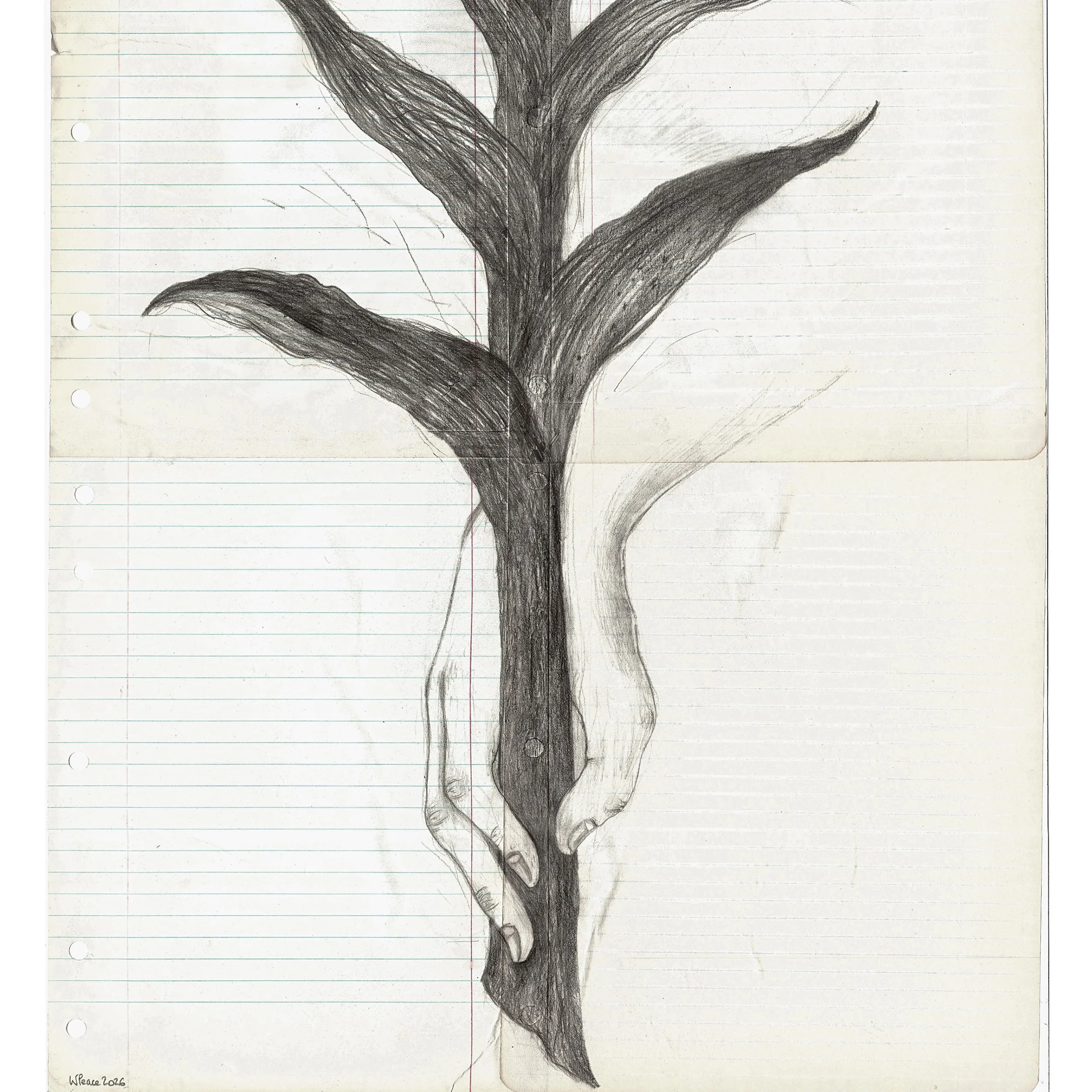 Ace of Wands (detail 3).jpg