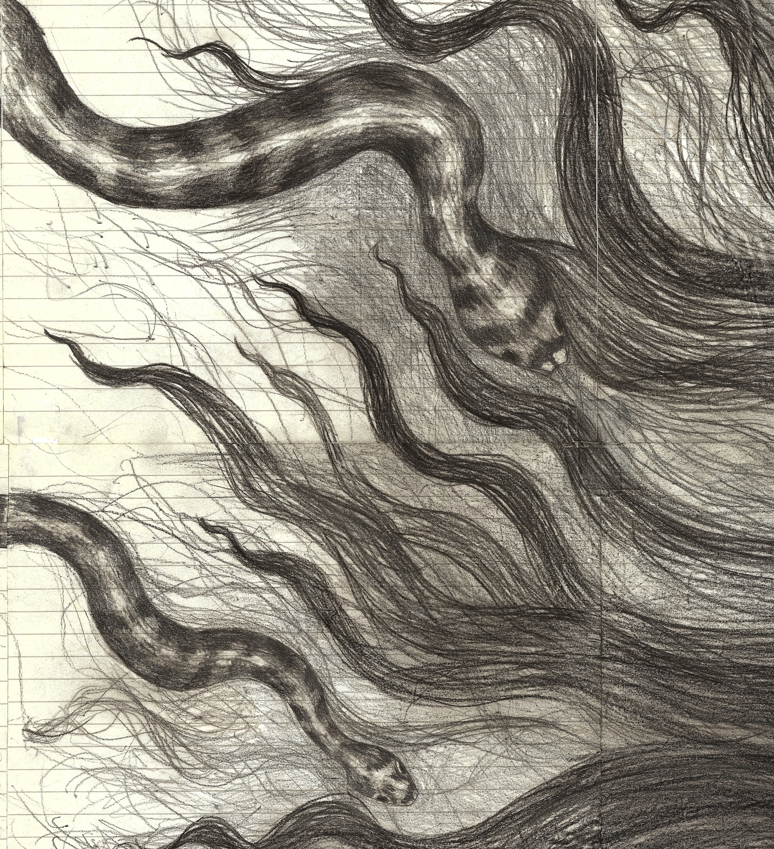 TWIB- detail snake.jpg