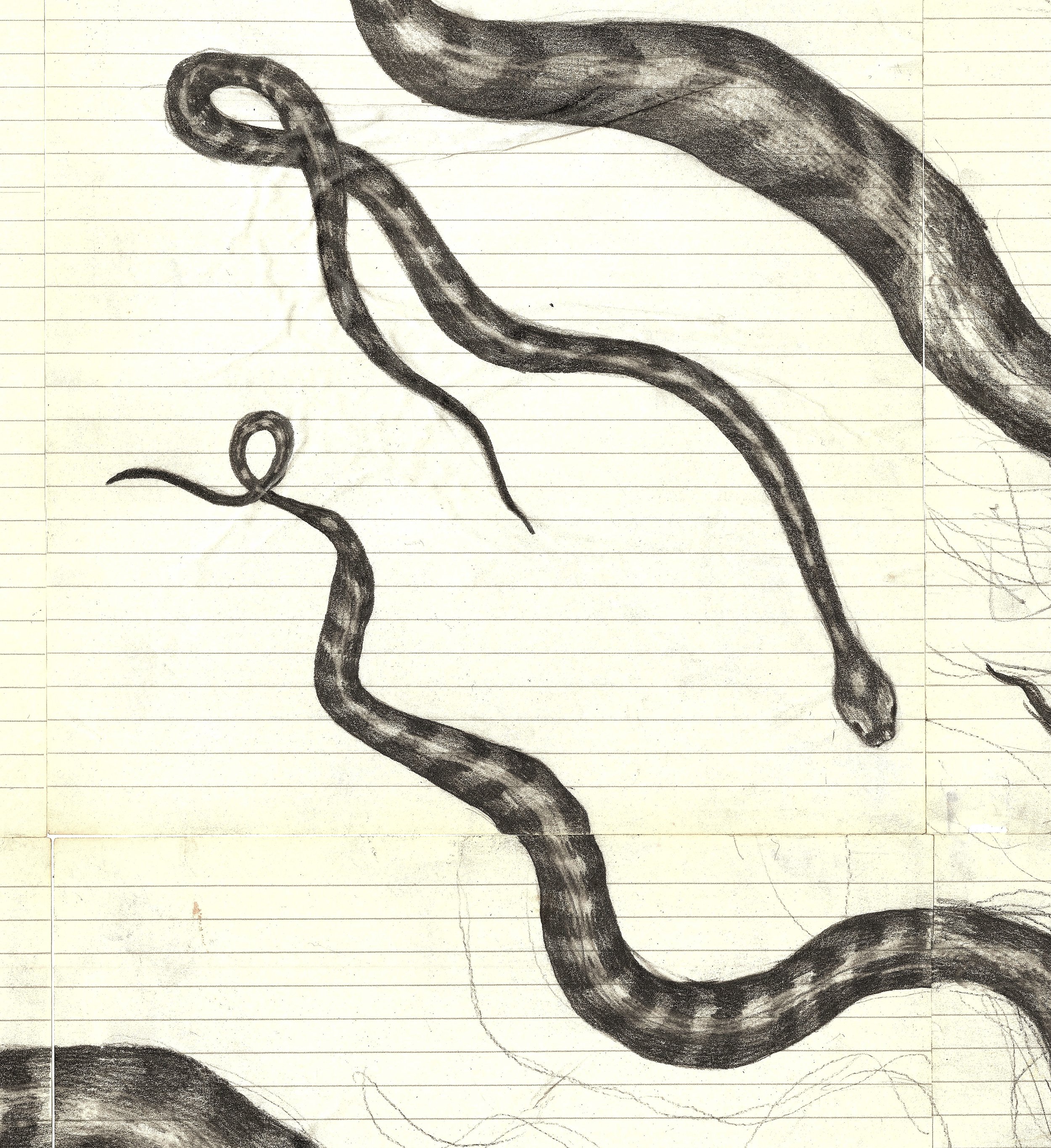 TWIB- detail snakes.jpg